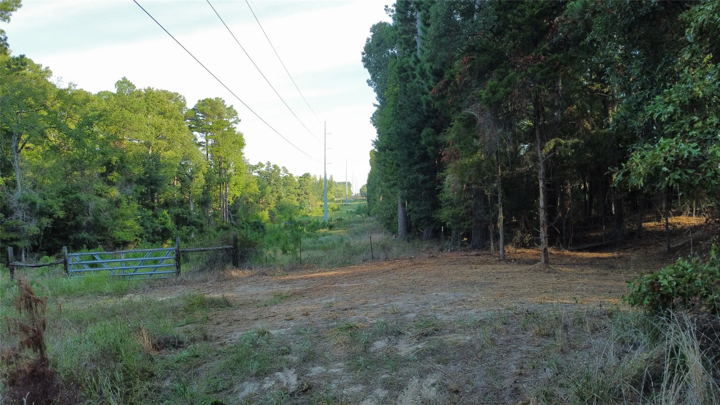 Transmission lines