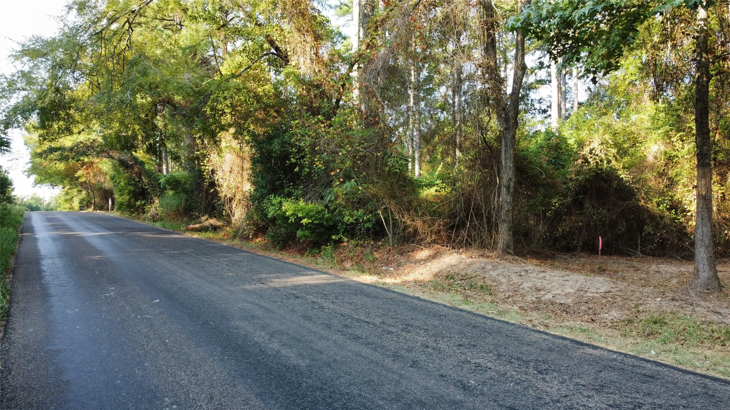 Road frontage