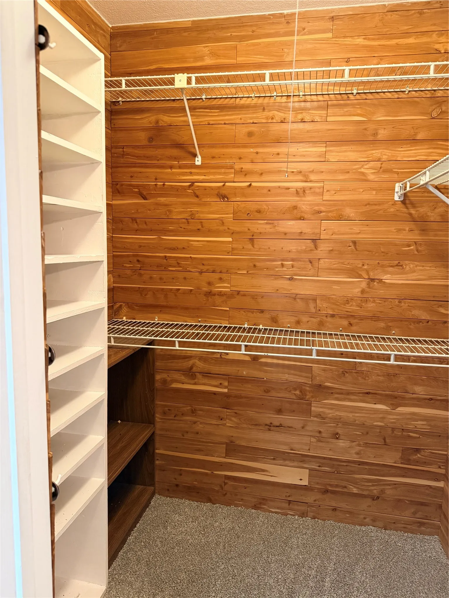 Wood-paneled walls featuring wire shelving, built-in open shelving, and carpet flooring