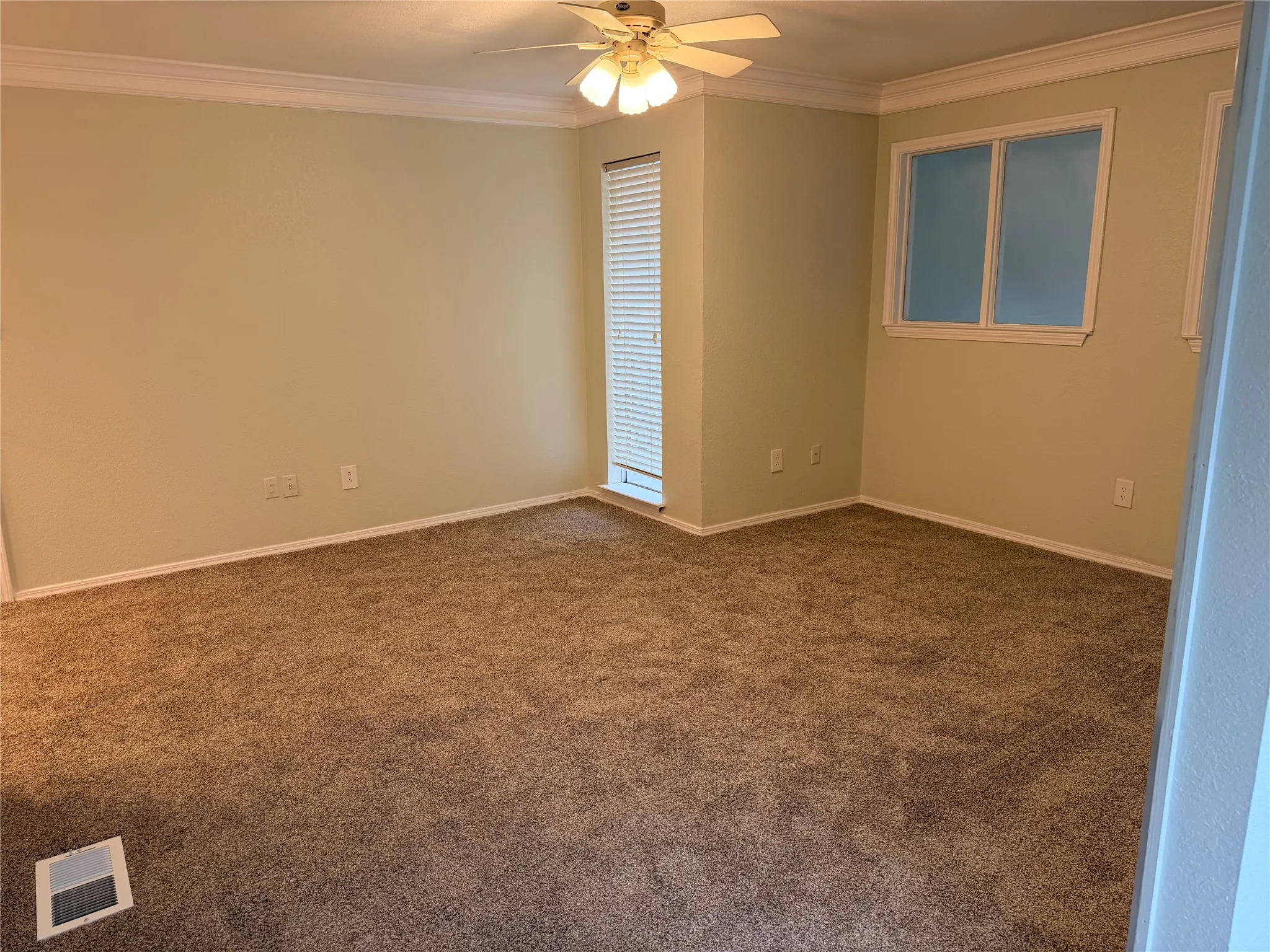 Expansive carpeted room featuring a ceiling fan, crown molding, and multiple windows with blinds