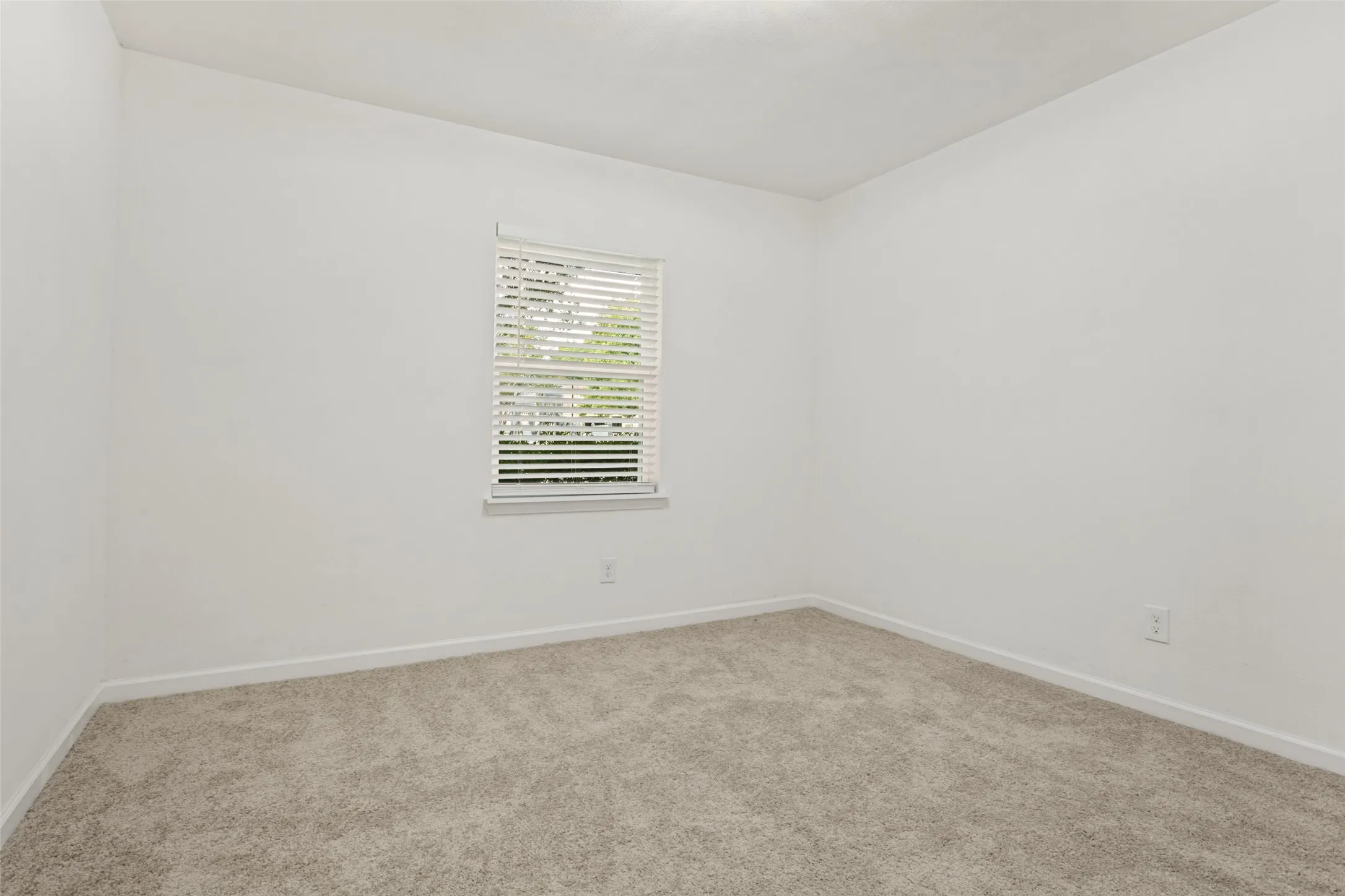Window with blinds, light-toned carpeting, and neutral wall tones
