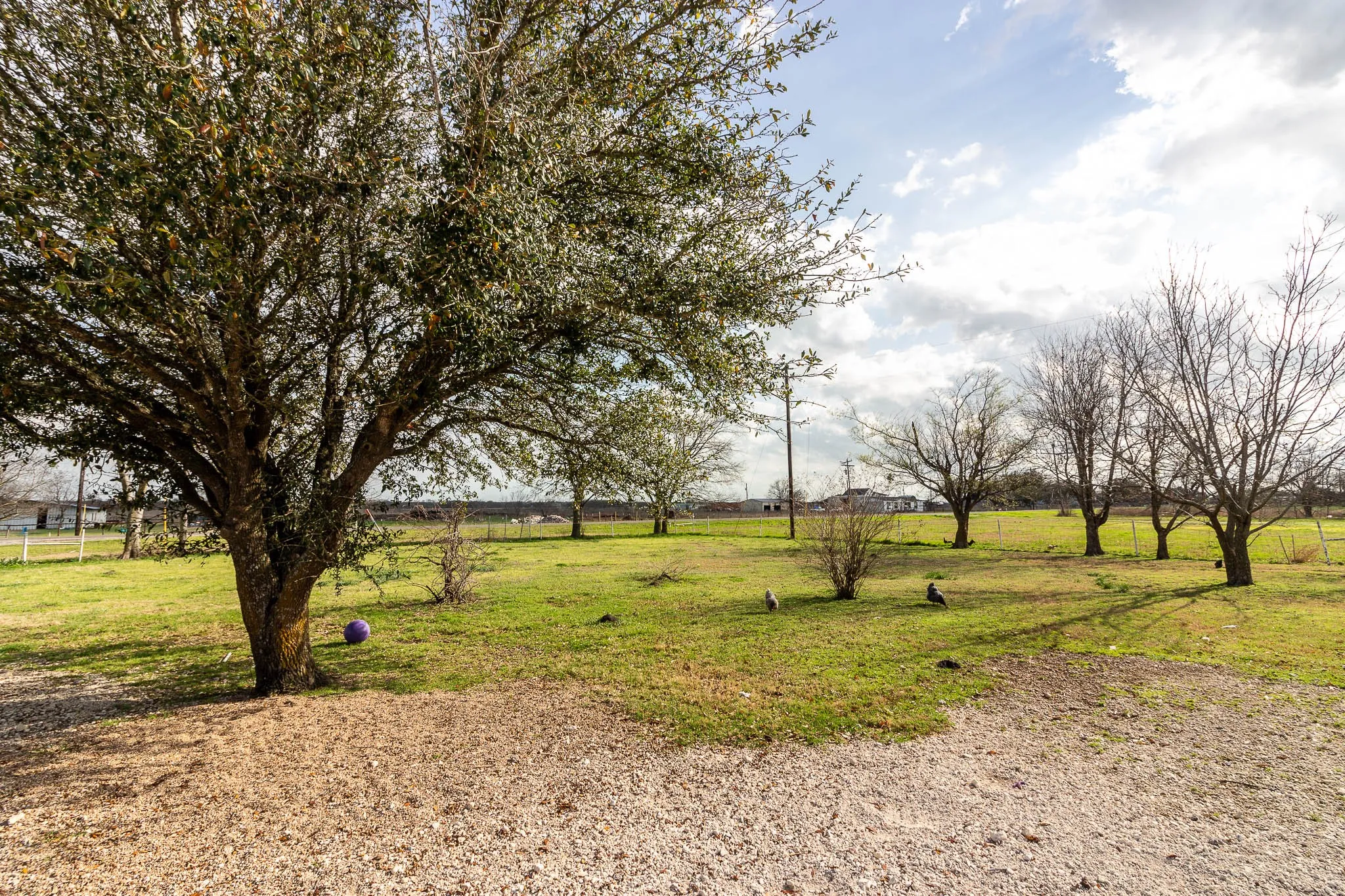 Improved Land For Sale in Kaufman County , 4331 Fm 2727, Kaufman, Texas 75142, 0, 0, Garage spaces, 0 Sqft, built in 2005, mls#21402254, Real Estate Agent in Kaufman, Homes For Sale in Kaufman county, Homes For Sale in Kaufman, Realtor in Kaufman Texas, Real Estate Brokerage Independent Realty Texas, Luminita Cordes Realtor