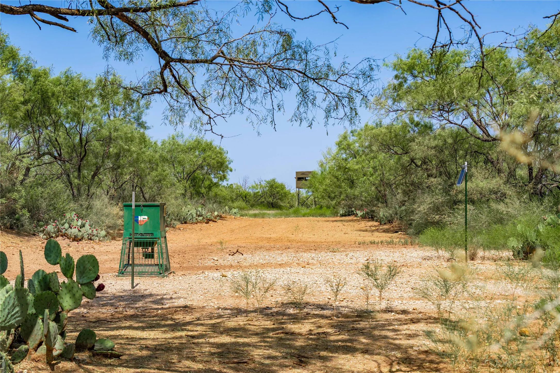 Farm For Sale in Coleman County , 5782 Farm to Market 2131, Coleman, Texas 76834, 6 Bedroom, 5 Bathroom, 4 Garage spaces, 3,989 Sqft, built in 2013, mls#21400087, Real Estate Agent in Coleman, Homes For Sale in Coleman county, Homes For Sale in Coleman, Realtor in Coleman Texas, Real Estate Brokerage Independent Realty Texas, Luminita Cordes Realtor