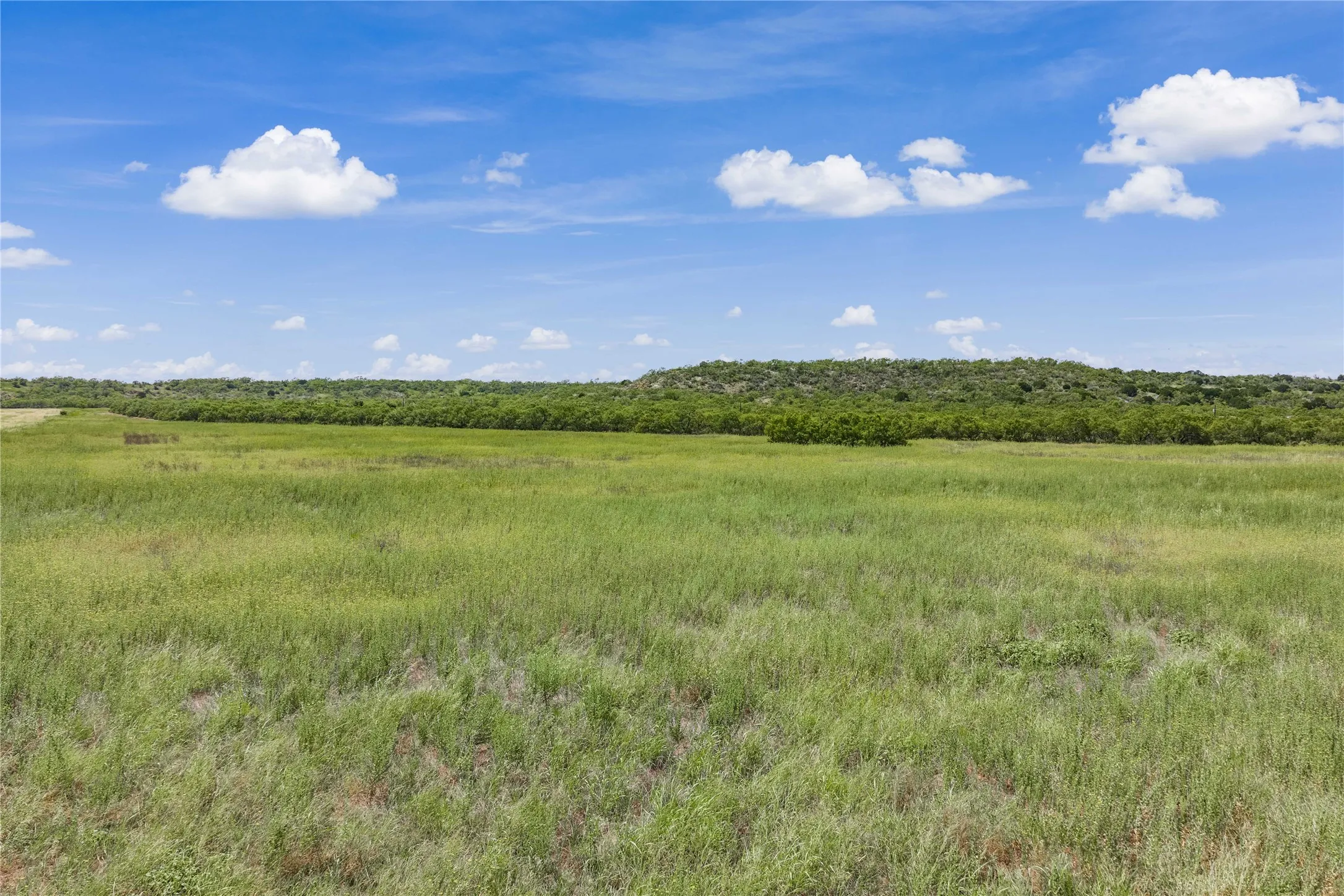 Farm For Sale in Coleman County , 5782 Farm to Market 2131, Coleman, Texas 76834, 6 Bedroom, 5 Bathroom, 4 Garage spaces, 3,989 Sqft, built in 2013, mls#21400087, Real Estate Agent in Coleman, Homes For Sale in Coleman county, Homes For Sale in Coleman, Realtor in Coleman Texas, Real Estate Brokerage Independent Realty Texas, Luminita Cordes Realtor