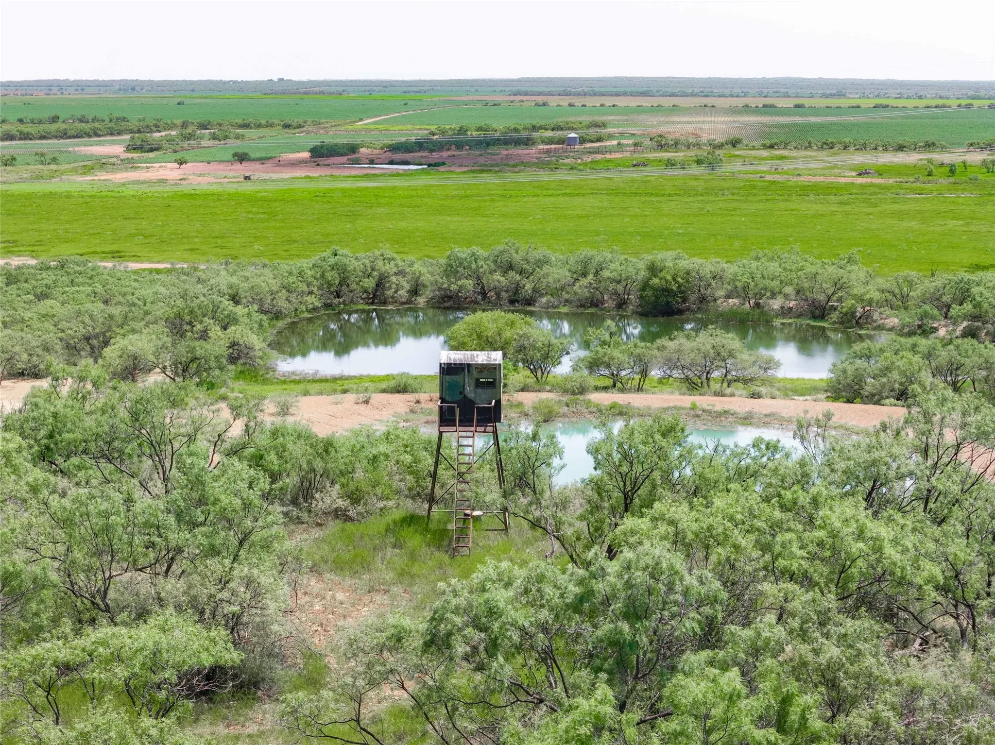 Farm For Sale in Coleman County , 5782 Farm to Market 2131, Coleman, Texas 76834, 6 Bedroom, 5 Bathroom, 4 Garage spaces, 3,989 Sqft, built in 2013, mls#21400087, Real Estate Agent in Coleman, Homes For Sale in Coleman county, Homes For Sale in Coleman, Realtor in Coleman Texas, Real Estate Brokerage Independent Realty Texas, Luminita Cordes Realtor