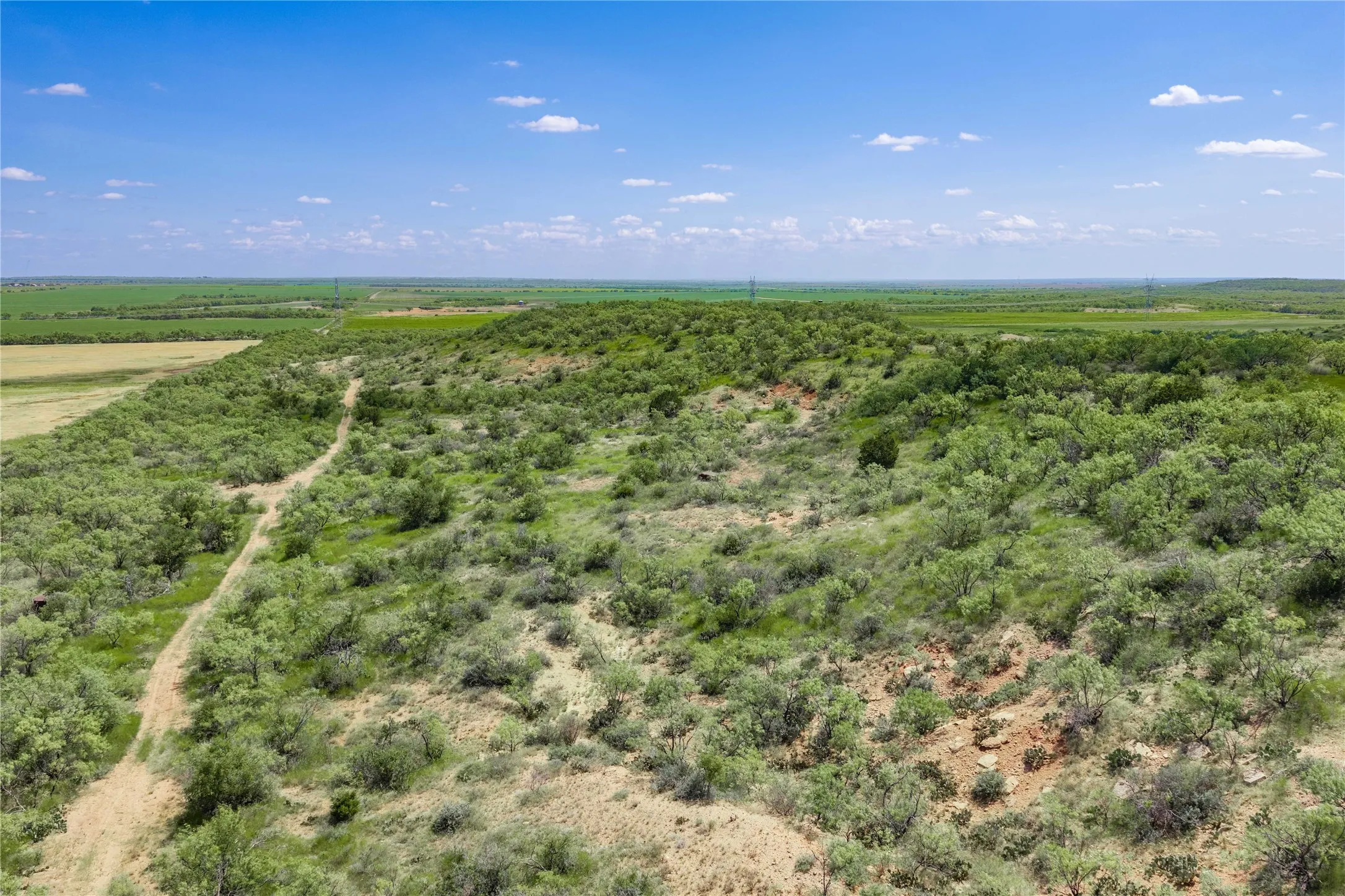 Farm For Sale in Coleman County , 5782 Farm to Market 2131, Coleman, Texas 76834, 6 Bedroom, 5 Bathroom, 4 Garage spaces, 3,989 Sqft, built in 2013, mls#21400087, Real Estate Agent in Coleman, Homes For Sale in Coleman county, Homes For Sale in Coleman, Realtor in Coleman Texas, Real Estate Brokerage Independent Realty Texas, Luminita Cordes Realtor