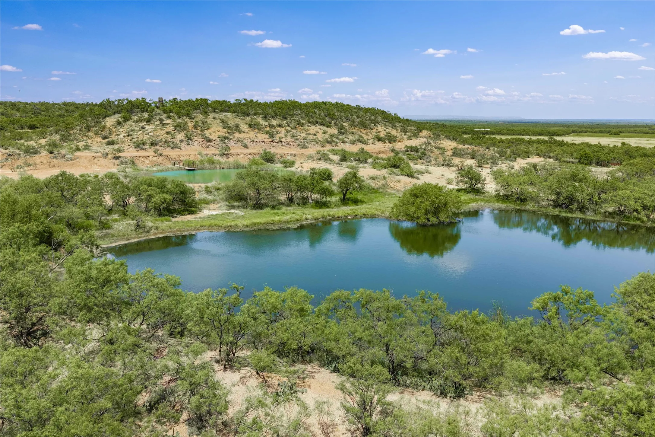 Farm For Sale in Coleman County , 5782 Farm to Market 2131, Coleman, Texas 76834, 6 Bedroom, 5 Bathroom, 4 Garage spaces, 3,989 Sqft, built in 2013, mls#21400087, Real Estate Agent in Coleman, Homes For Sale in Coleman county, Homes For Sale in Coleman, Realtor in Coleman Texas, Real Estate Brokerage Independent Realty Texas, Luminita Cordes Realtor