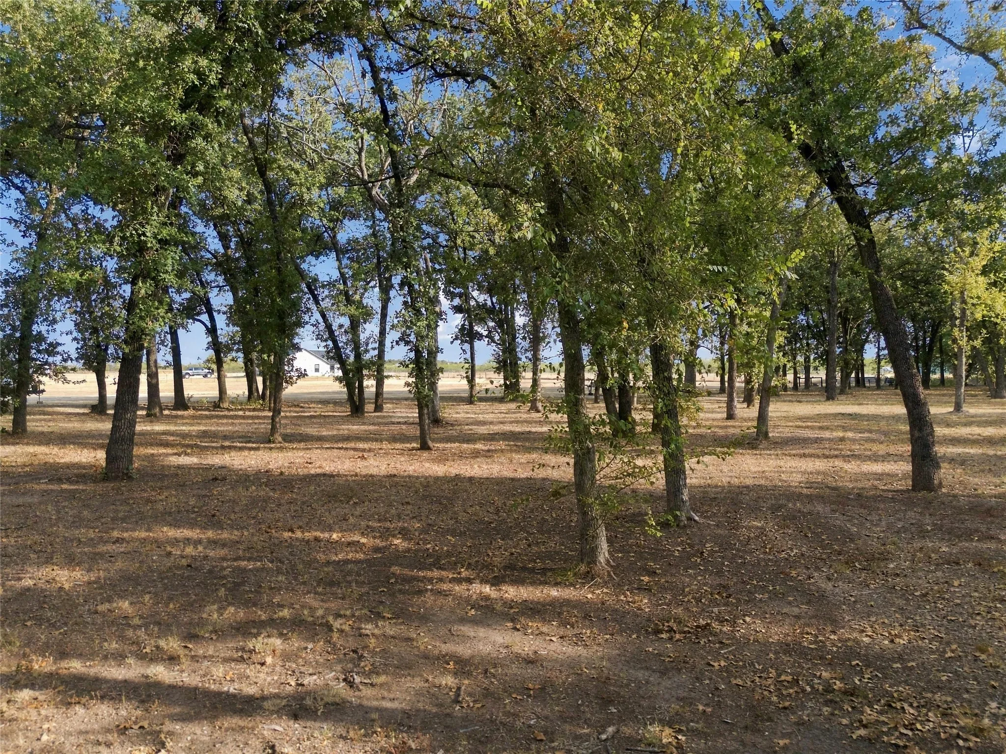 Unimproved Land For Sale in Mc Lennan County , 2.82 KATTNER, Riesel, Texas 76682, 0, 0, Garage spaces, 0 Sqft, built in 0, mls#21402509, Real Estate Agent in Riesel, Homes For Sale in Mc Lennan county, Homes For Sale in Riesel, Realtor in Riesel Texas, Real Estate Brokerage Independent Realty Texas, Luminita Cordes Realtor