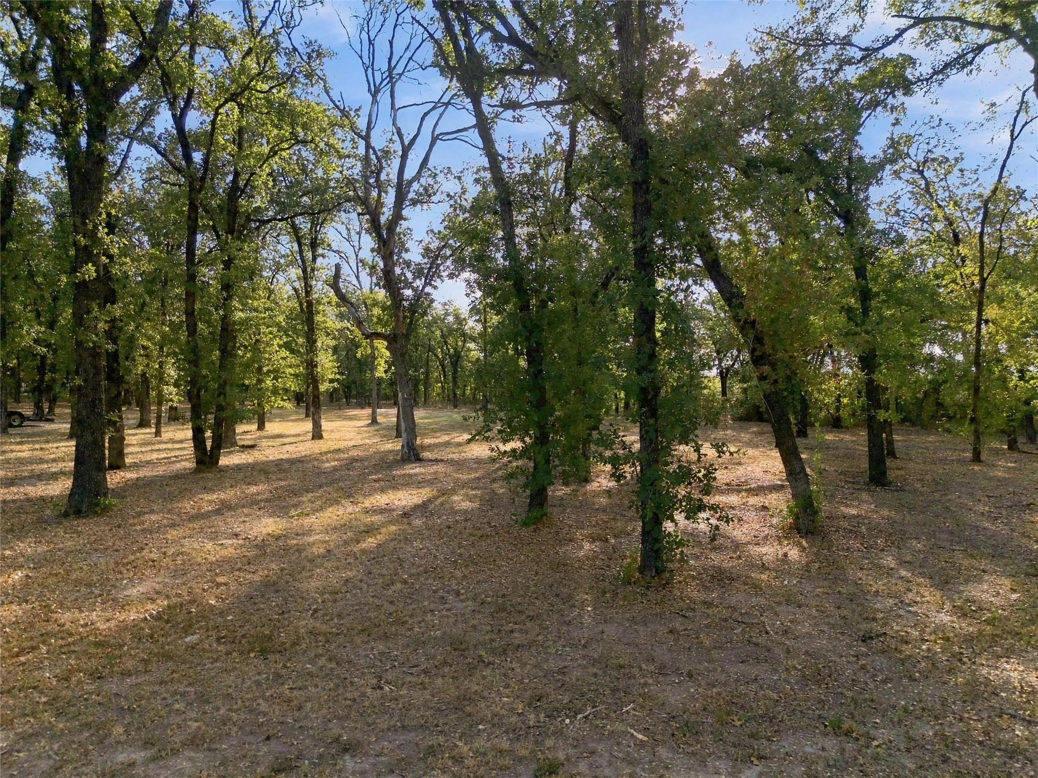 Unimproved Land For Sale in Mc Lennan County , 2.82 KATTNER, Riesel, Texas 76682, 0, 0, Garage spaces, 0 Sqft, built in 0, mls#21402509, Real Estate Agent in Riesel, Homes For Sale in Mc Lennan county, Homes For Sale in Riesel, Realtor in Riesel Texas, Real Estate Brokerage Independent Realty Texas, Luminita Cordes Realtor