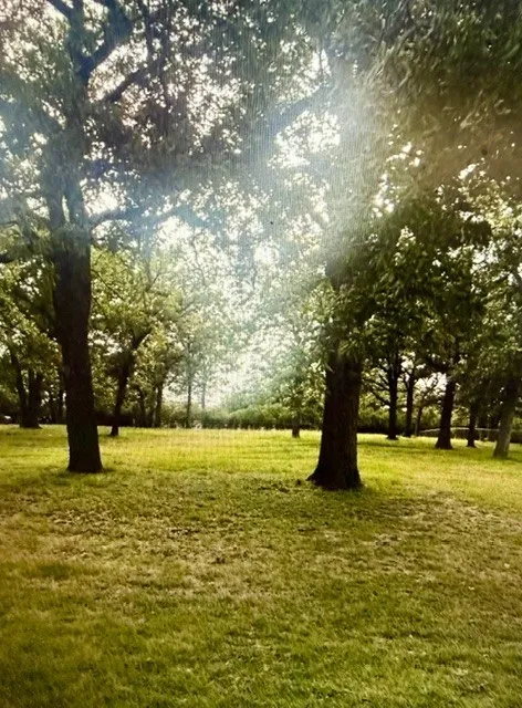 Unimproved Land For Sale in Tarrant County , 313 Breezy Lane, Azle, Texas 76020, 0, 0, Garage spaces, 0 Sqft, built in 0, mls#21400149, Real Estate Agent in Azle, Homes For Sale in Tarrant county, Homes For Sale in Azle, Realtor in Azle Texas, Real Estate Brokerage Independent Realty Texas, Luminita Cordes Realtor