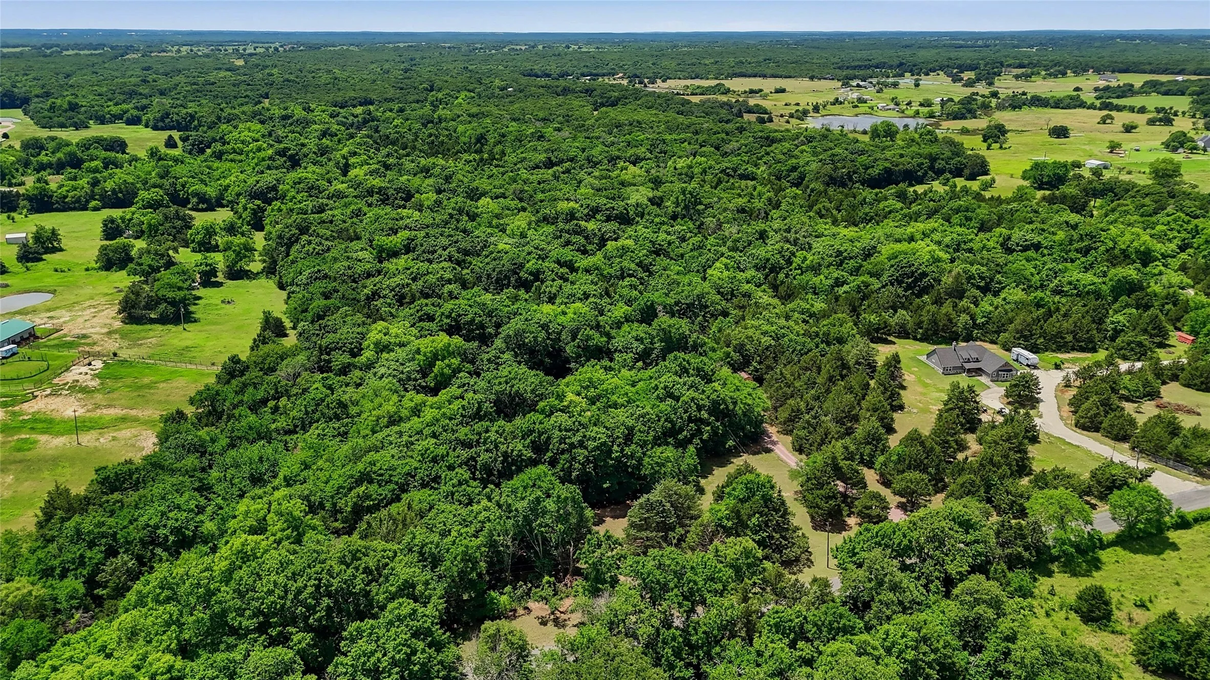 Expansive tree coverage, green fields, and a distant body of water