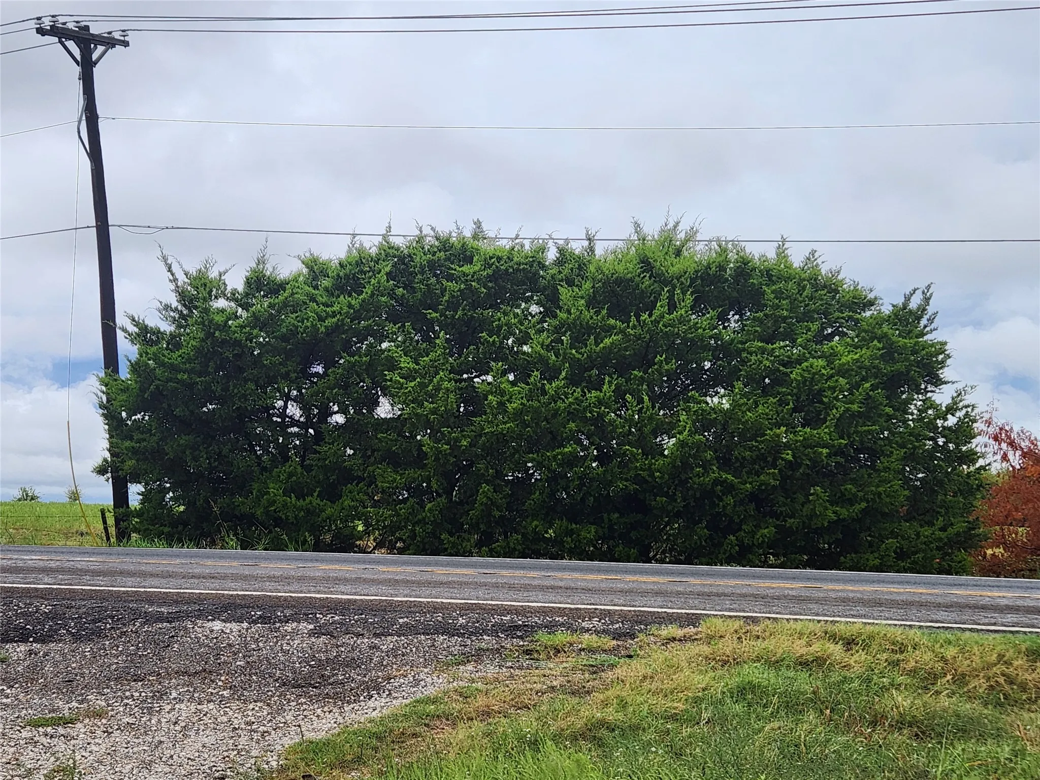 View looking towards the street, FM 1138