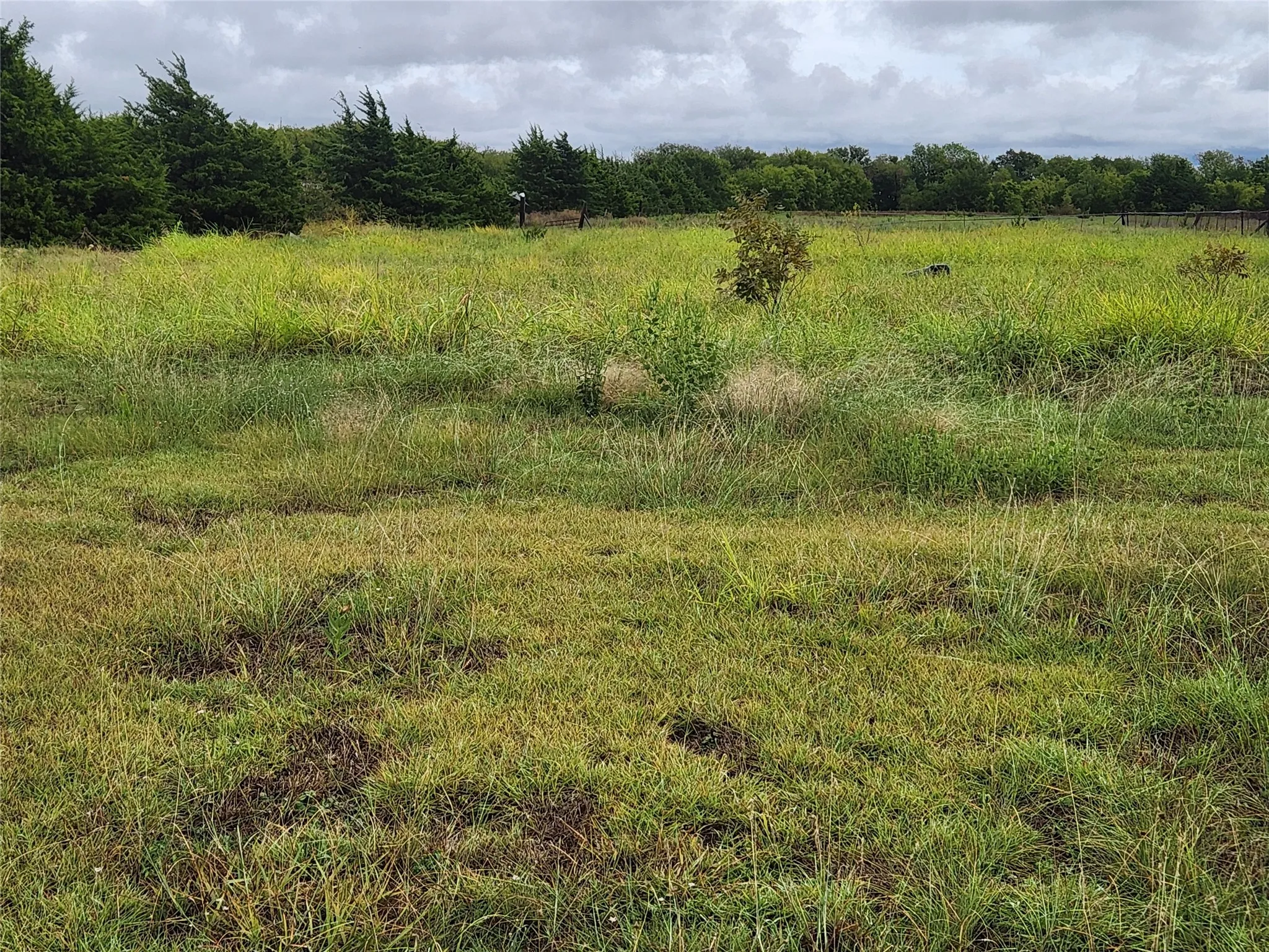 Unimproved Land For Sale in Collin County , 1513 S Fm 1138, Royse City, Texas 75189, 0, 0, Garage spaces, 0 Sqft, built in 0, mls#21402407, Real Estate Agent in Royse City, Homes For Sale in Collin county, Homes For Sale in Royse City, Realtor in Royse City Texas, Real Estate Brokerage Independent Realty Texas, Luminita Cordes Realtor