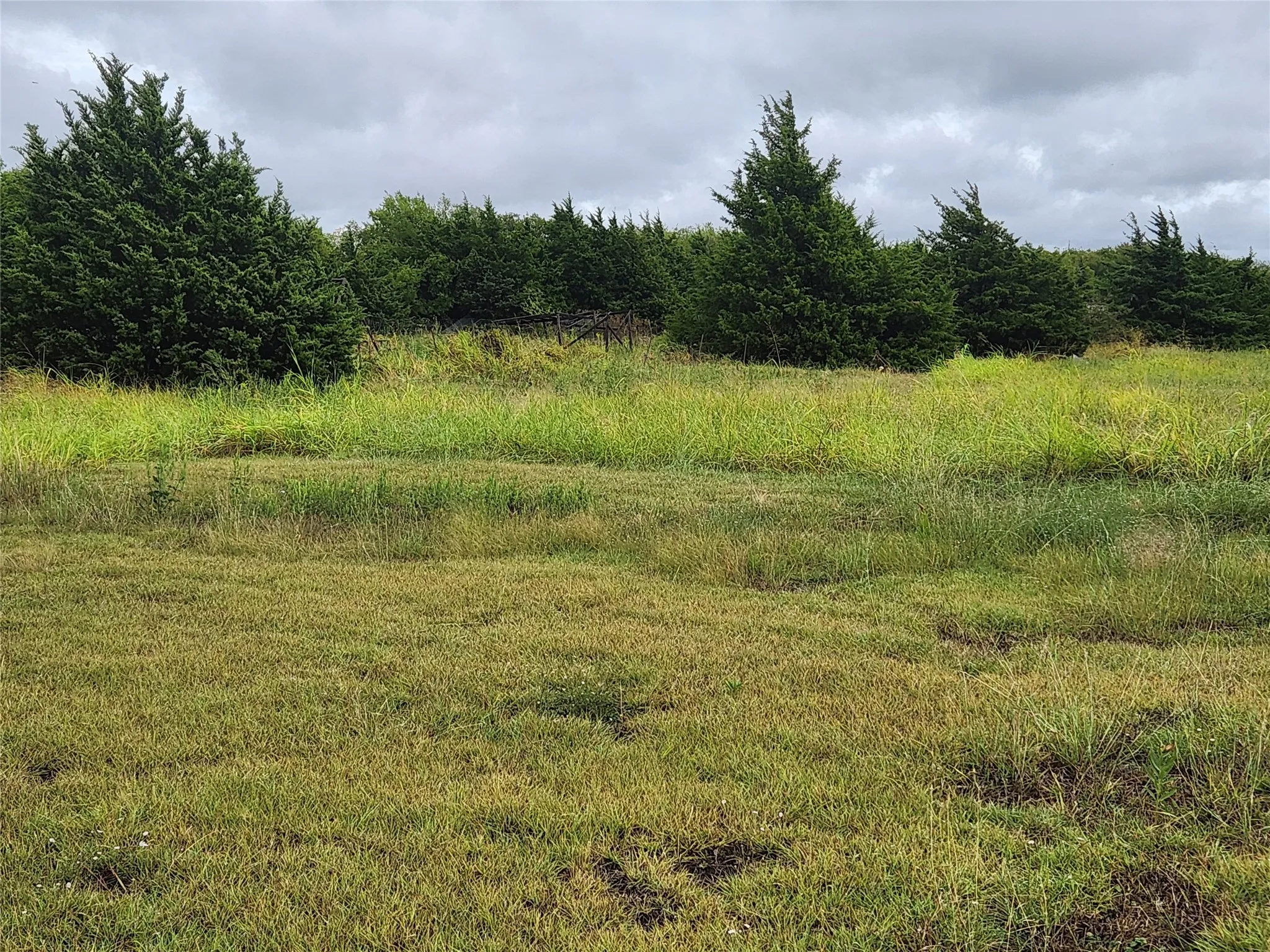 Rolling pasture and grassy land.