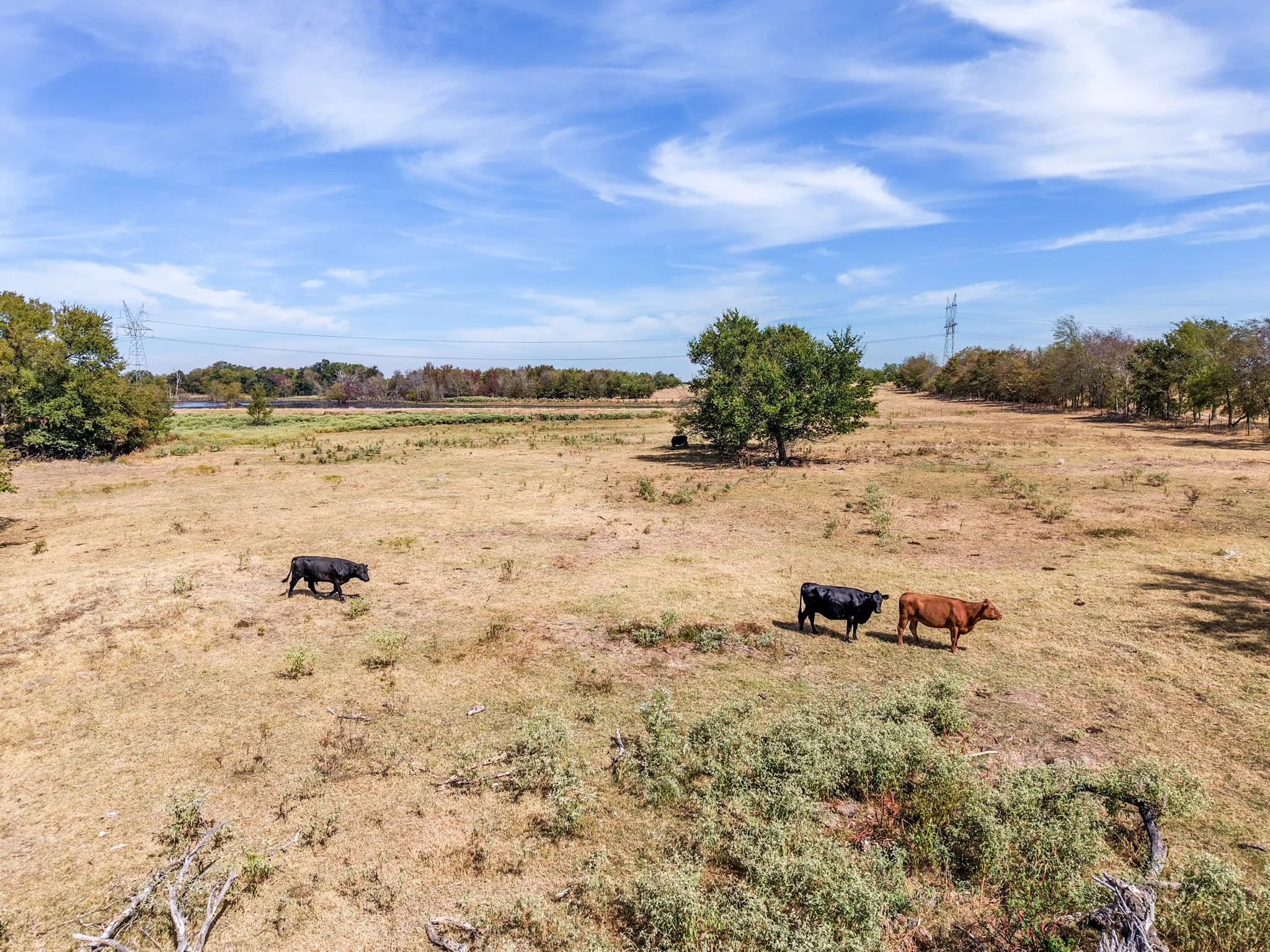 Ranch For Sale in Hopkins County , TBD CR 4758, Sulphur Springs, Texas 75482, 0, 0, Garage spaces, 0 Sqft, built in 0, mls#21399017, Real Estate Agent in Sulphur Springs, Homes For Sale in Hopkins county, Homes For Sale in Sulphur Springs, Realtor in Sulphur Springs Texas, Real Estate Brokerage Independent Realty Texas, Luminita Cordes Realtor
