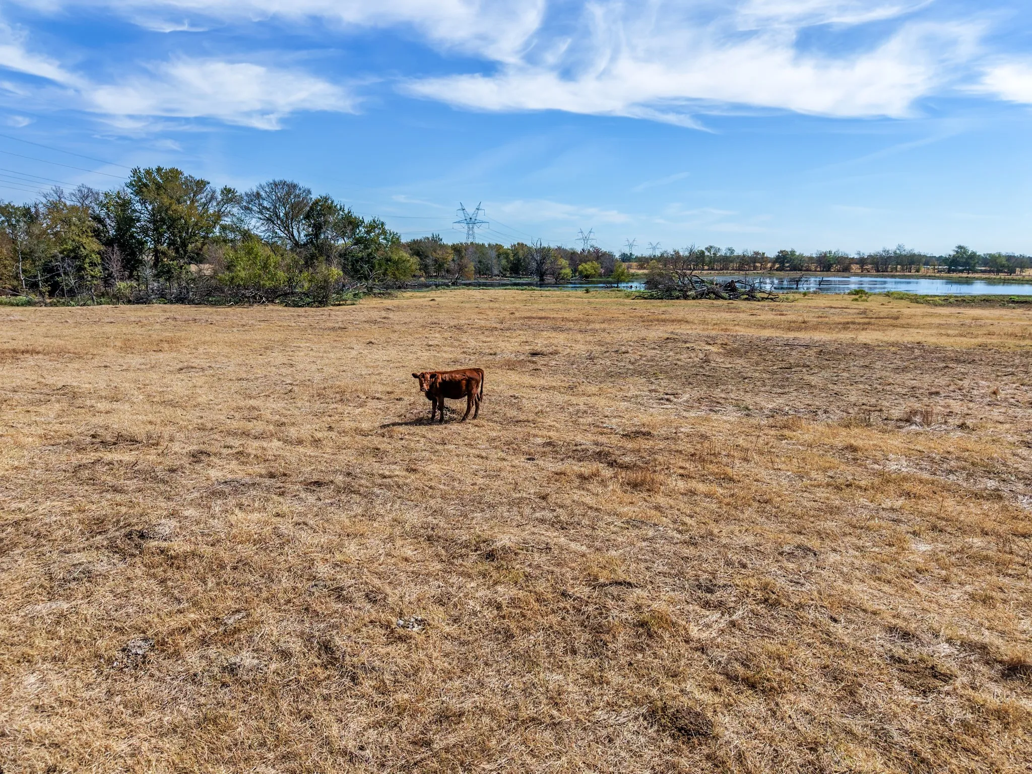 Ranch For Sale in Hopkins County , TBD CR 4758, Sulphur Springs, Texas 75482, 0, 0, Garage spaces, 0 Sqft, built in 0, mls#21399017, Real Estate Agent in Sulphur Springs, Homes For Sale in Hopkins county, Homes For Sale in Sulphur Springs, Realtor in Sulphur Springs Texas, Real Estate Brokerage Independent Realty Texas, Luminita Cordes Realtor