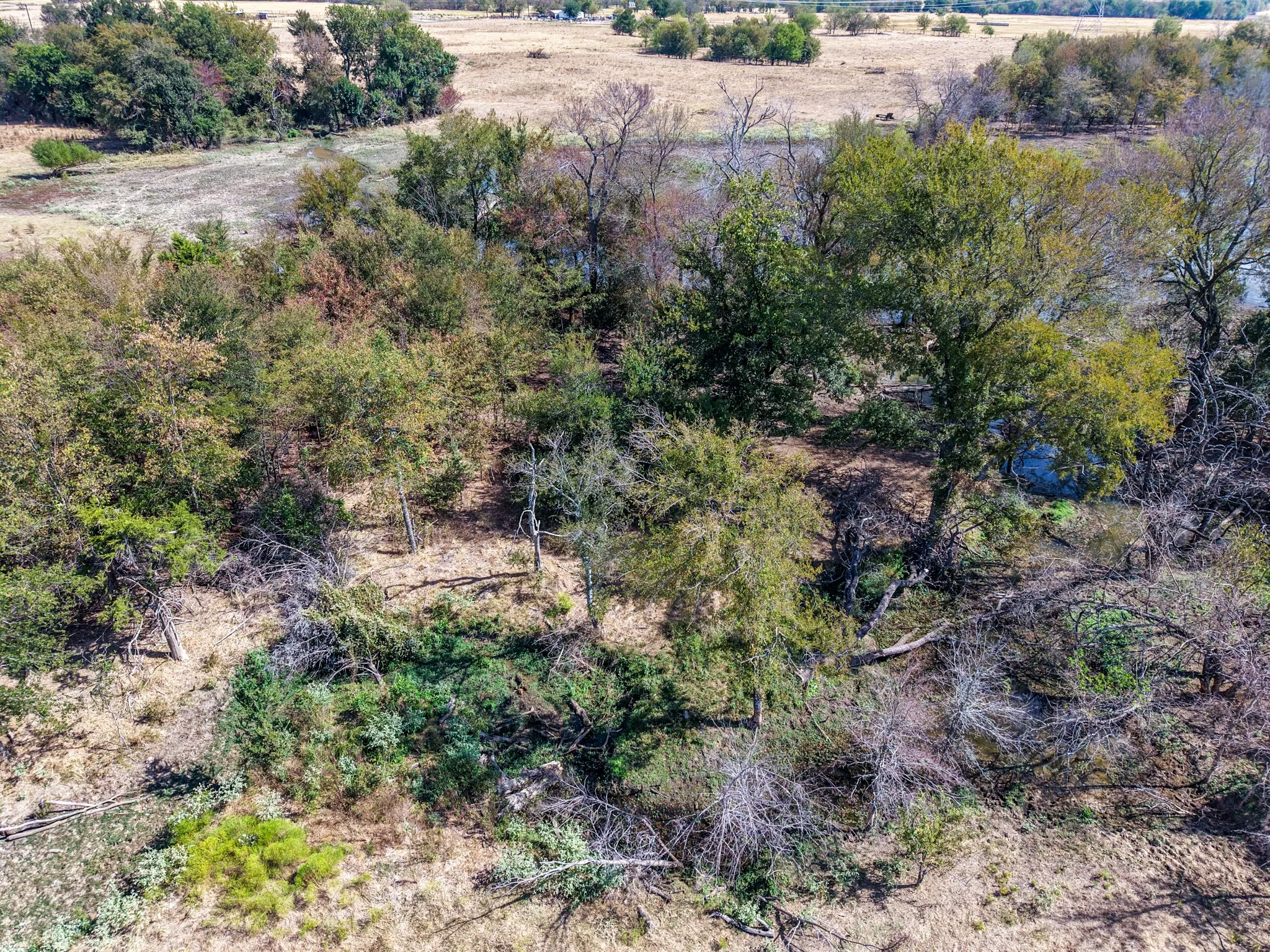 Ranch For Sale in Hopkins County , TBD CR 4758, Sulphur Springs, Texas 75482, 0, 0, Garage spaces, 0 Sqft, built in 0, mls#21399017, Real Estate Agent in Sulphur Springs, Homes For Sale in Hopkins county, Homes For Sale in Sulphur Springs, Realtor in Sulphur Springs Texas, Real Estate Brokerage Independent Realty Texas, Luminita Cordes Realtor