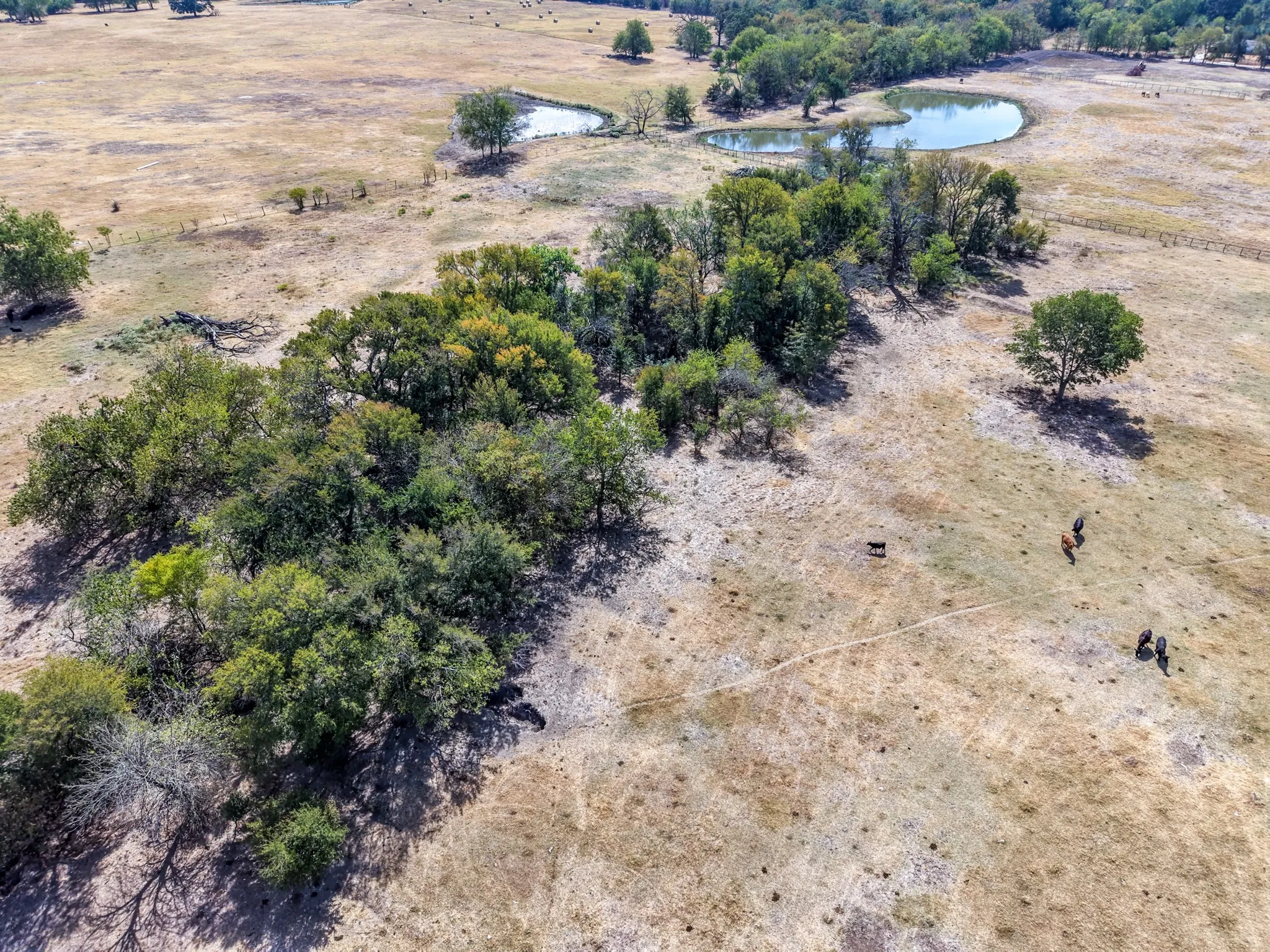 Ranch For Sale in Hopkins County , TBD CR 4758, Sulphur Springs, Texas 75482, 0, 0, Garage spaces, 0 Sqft, built in 0, mls#21399017, Real Estate Agent in Sulphur Springs, Homes For Sale in Hopkins county, Homes For Sale in Sulphur Springs, Realtor in Sulphur Springs Texas, Real Estate Brokerage Independent Realty Texas, Luminita Cordes Realtor