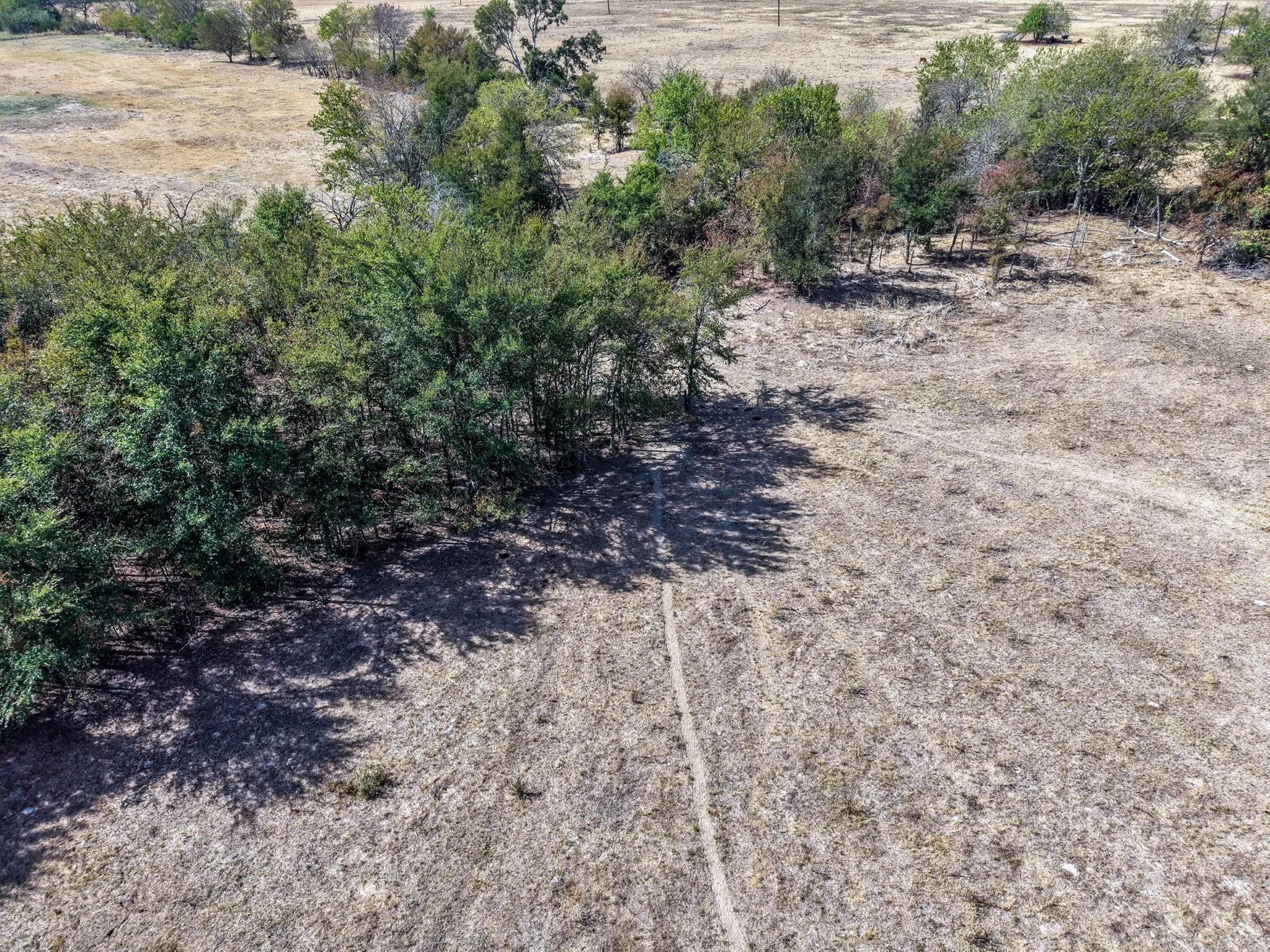 Ranch For Sale in Hopkins County , TBD CR 4758, Sulphur Springs, Texas 75482, 0, 0, Garage spaces, 0 Sqft, built in 0, mls#21399017, Real Estate Agent in Sulphur Springs, Homes For Sale in Hopkins county, Homes For Sale in Sulphur Springs, Realtor in Sulphur Springs Texas, Real Estate Brokerage Independent Realty Texas, Luminita Cordes Realtor
