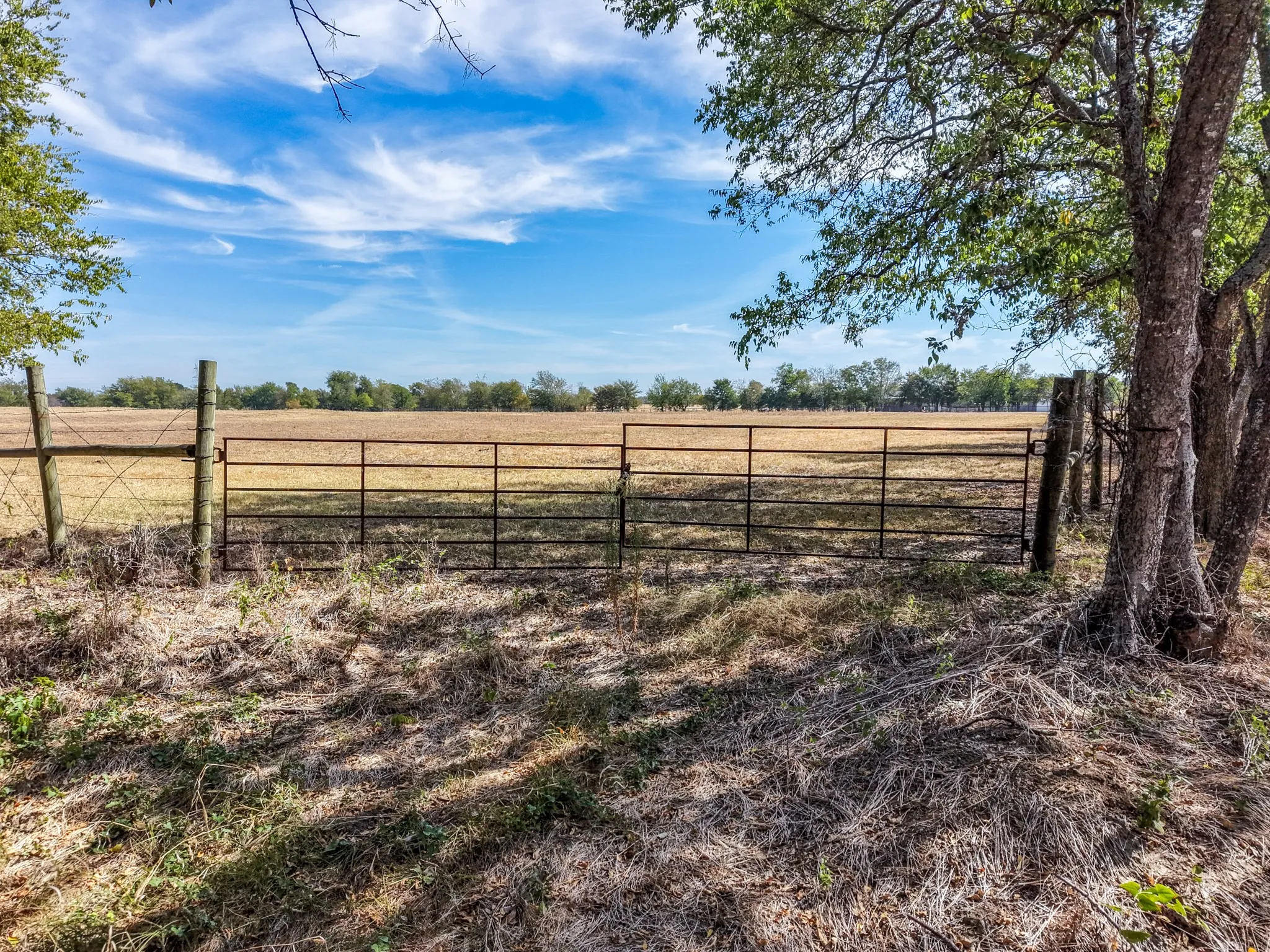 Ranch For Sale in Hopkins County , TBD CR 4758, Sulphur Springs, Texas 75482, 0, 0, Garage spaces, 0 Sqft, built in 0, mls#21399017, Real Estate Agent in Sulphur Springs, Homes For Sale in Hopkins county, Homes For Sale in Sulphur Springs, Realtor in Sulphur Springs Texas, Real Estate Brokerage Independent Realty Texas, Luminita Cordes Realtor
