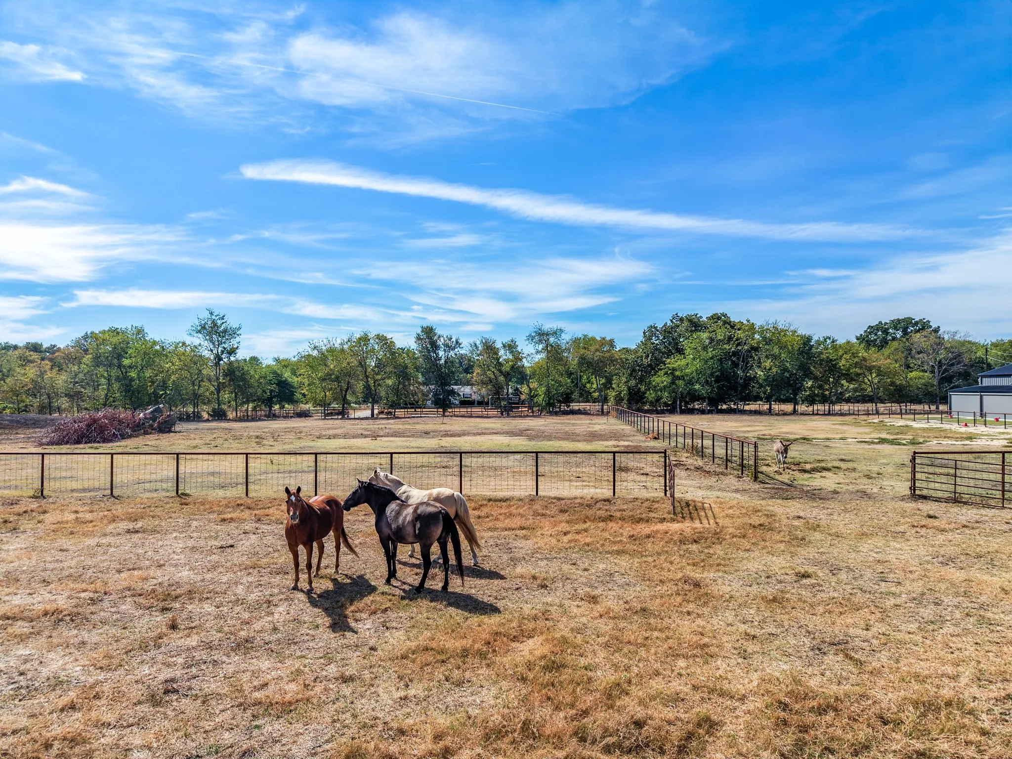 Farm For Sale in Hopkins County , 297 County Road 4820, Sulphur Springs, Texas 75482, 2 Bedroom, 2 Bathroom, 2 Garage spaces, 1,360 Sqft, built in 2023, mls#21398849, Real Estate Agent in Sulphur Springs, Homes For Sale in Hopkins county, Homes For Sale in Sulphur Springs, Realtor in Sulphur Springs Texas, Real Estate Brokerage Independent Realty Texas, Luminita Cordes Realtor