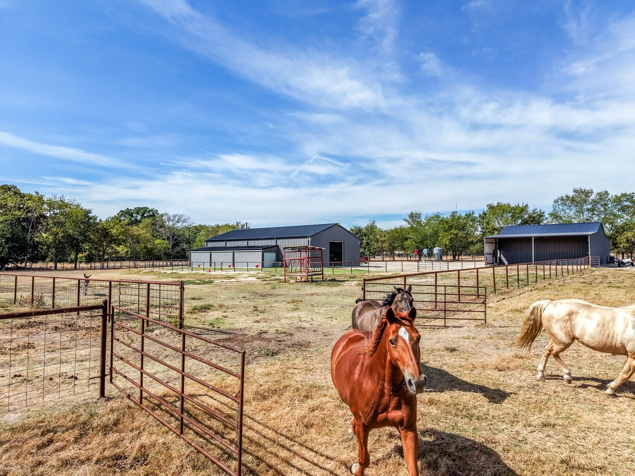 Farm For Sale in Hopkins County , 297 County Road 4820, Sulphur Springs, Texas 75482, 2 Bedroom, 2 Bathroom, 2 Garage spaces, 1,360 Sqft, built in 2023, mls#21398849, Real Estate Agent in Sulphur Springs, Homes For Sale in Hopkins county, Homes For Sale in Sulphur Springs, Realtor in Sulphur Springs Texas, Real Estate Brokerage Independent Realty Texas, Luminita Cordes Realtor