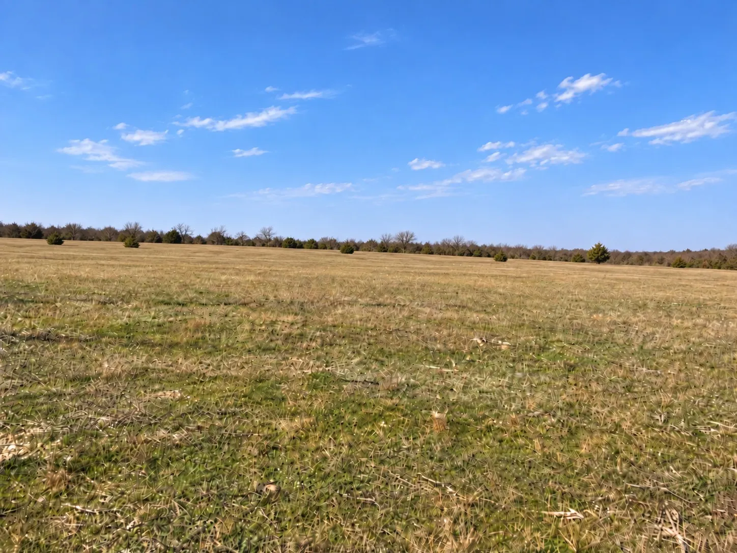 Unimproved Land For Sale in Hill County , TBD HCR 1103, Blum, Texas 76627, 0, 0, Garage spaces, 0 Sqft, built in 0, mls#21402341, Real Estate Agent in Blum, Homes For Sale in Hill county, Homes For Sale in Blum, Realtor in Blum Texas, Real Estate Brokerage Independent Realty Texas, Luminita Cordes Realtor