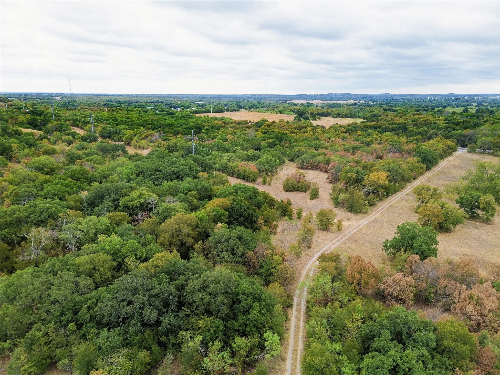 Unimproved Land For Sale in Wise County , TBD F M 1658, Bridgeport, Texas 76426, 0, 0, Garage spaces, 0 Sqft, built in 0, mls#21397749, Real Estate Agent in Bridgeport, Homes For Sale in Wise county, Homes For Sale in Bridgeport, Realtor in Bridgeport Texas, Real Estate Brokerage Independent Realty Texas, Luminita Cordes Realtor