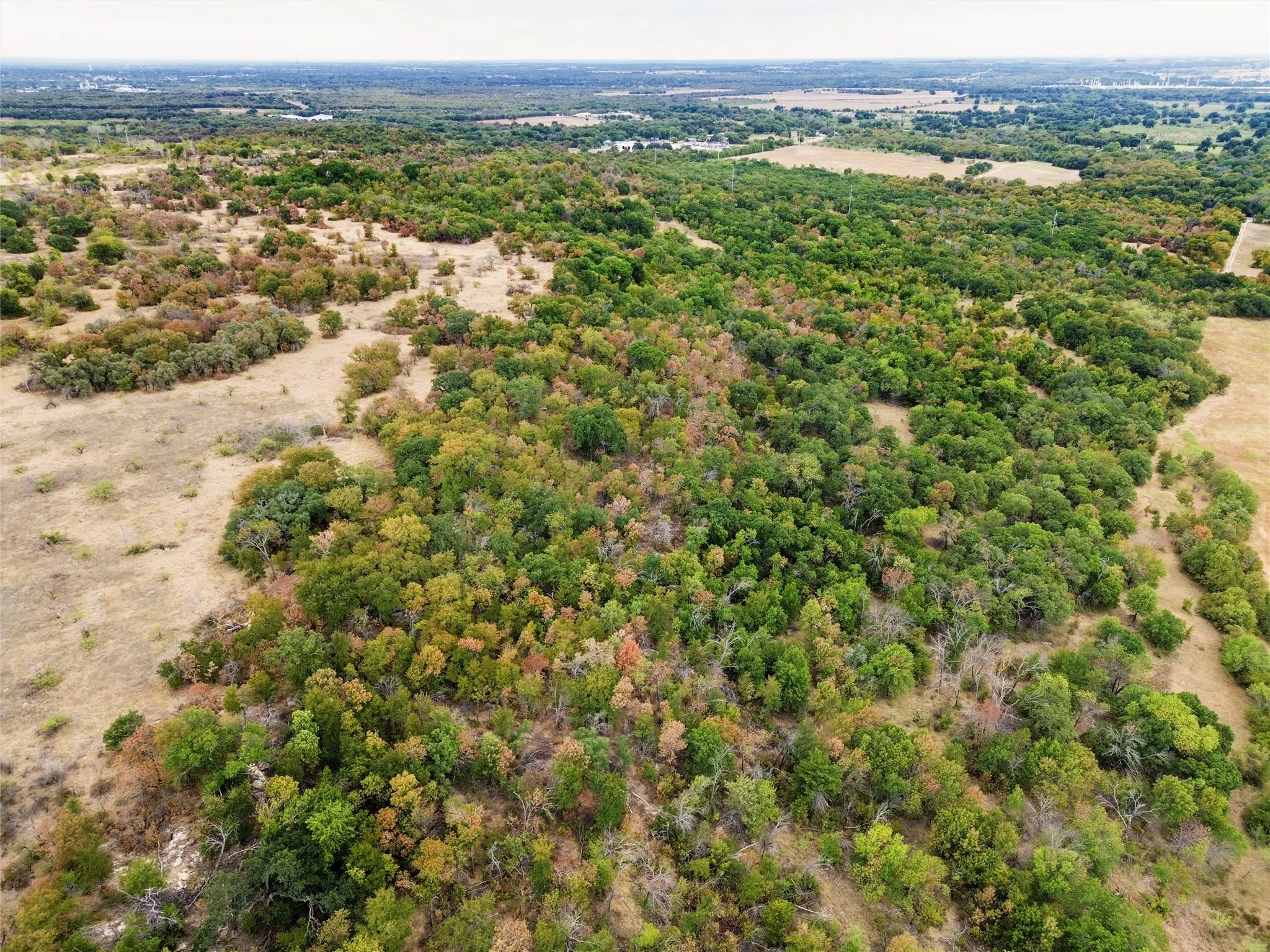 Unimproved Land For Sale in Wise County , TBD F M 1658, Bridgeport, Texas 76426, 0, 0, Garage spaces, 0 Sqft, built in 0, mls#21397749, Real Estate Agent in Bridgeport, Homes For Sale in Wise county, Homes For Sale in Bridgeport, Realtor in Bridgeport Texas, Real Estate Brokerage Independent Realty Texas, Luminita Cordes Realtor