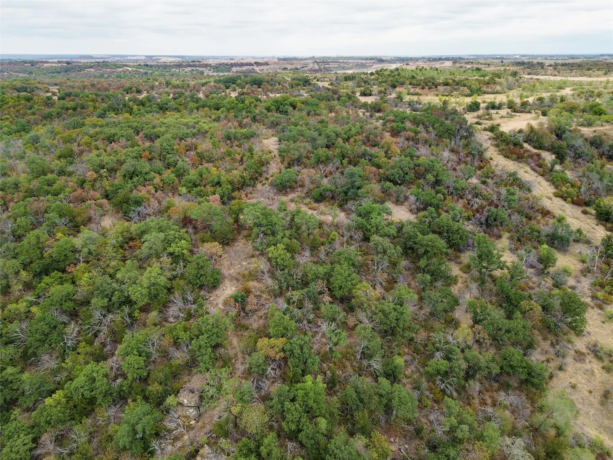 Unimproved Land For Sale in Wise County , TBD F M 1658, Bridgeport, Texas 76426, 0, 0, Garage spaces, 0 Sqft, built in 0, mls#21397749, Real Estate Agent in Bridgeport, Homes For Sale in Wise county, Homes For Sale in Bridgeport, Realtor in Bridgeport Texas, Real Estate Brokerage Independent Realty Texas, Luminita Cordes Realtor