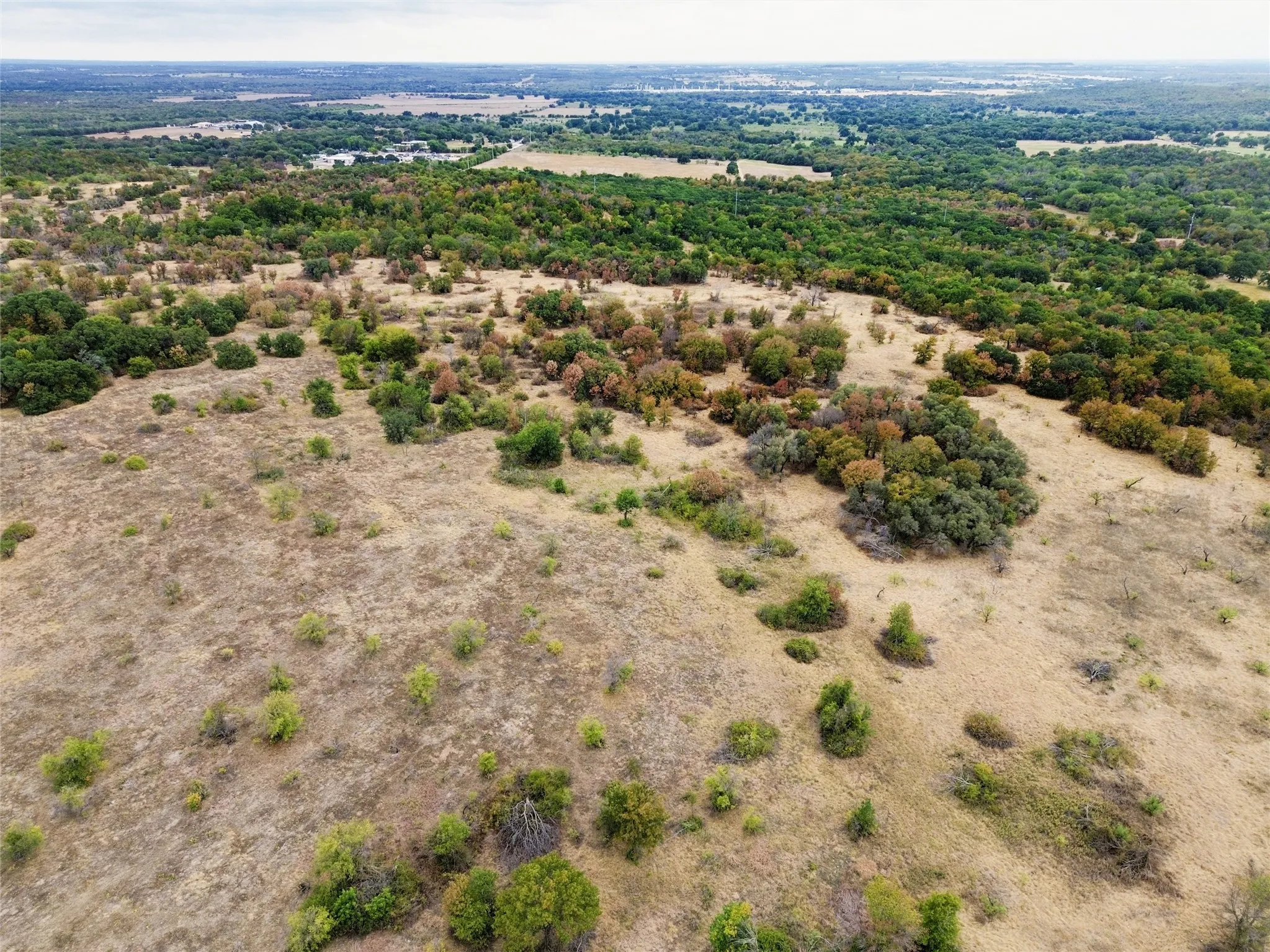 Unimproved Land For Sale in Wise County , TBD F M 1658, Bridgeport, Texas 76426, 0, 0, Garage spaces, 0 Sqft, built in 0, mls#21397749, Real Estate Agent in Bridgeport, Homes For Sale in Wise county, Homes For Sale in Bridgeport, Realtor in Bridgeport Texas, Real Estate Brokerage Independent Realty Texas, Luminita Cordes Realtor