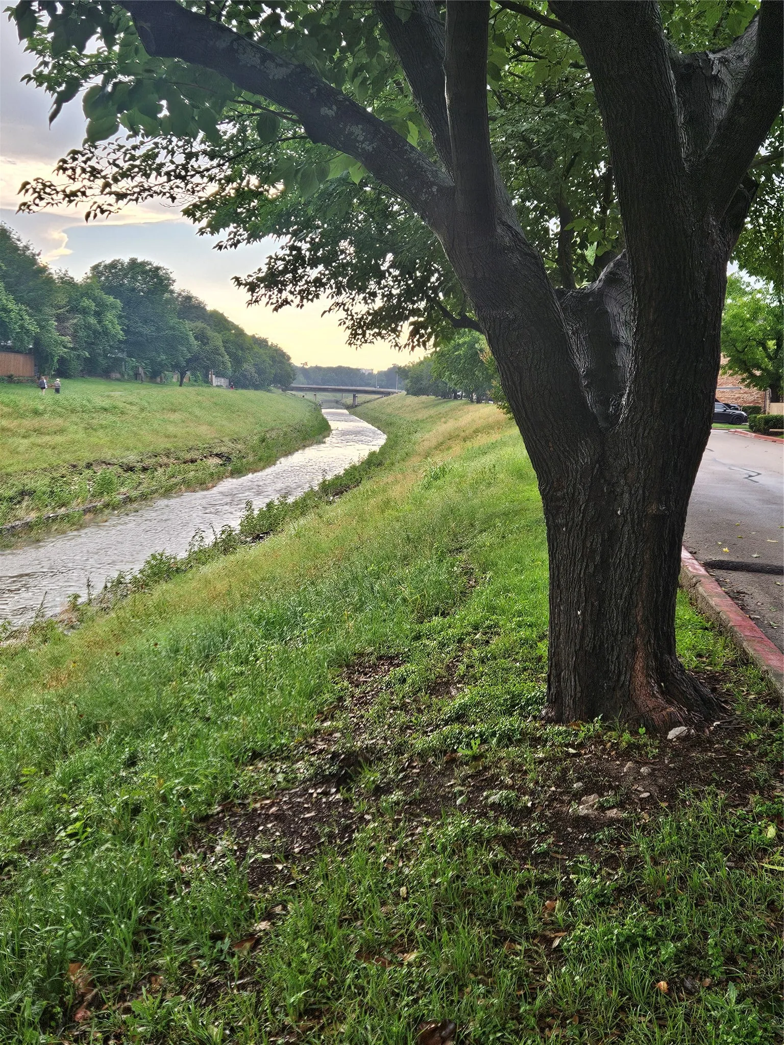 creek with water at sunset