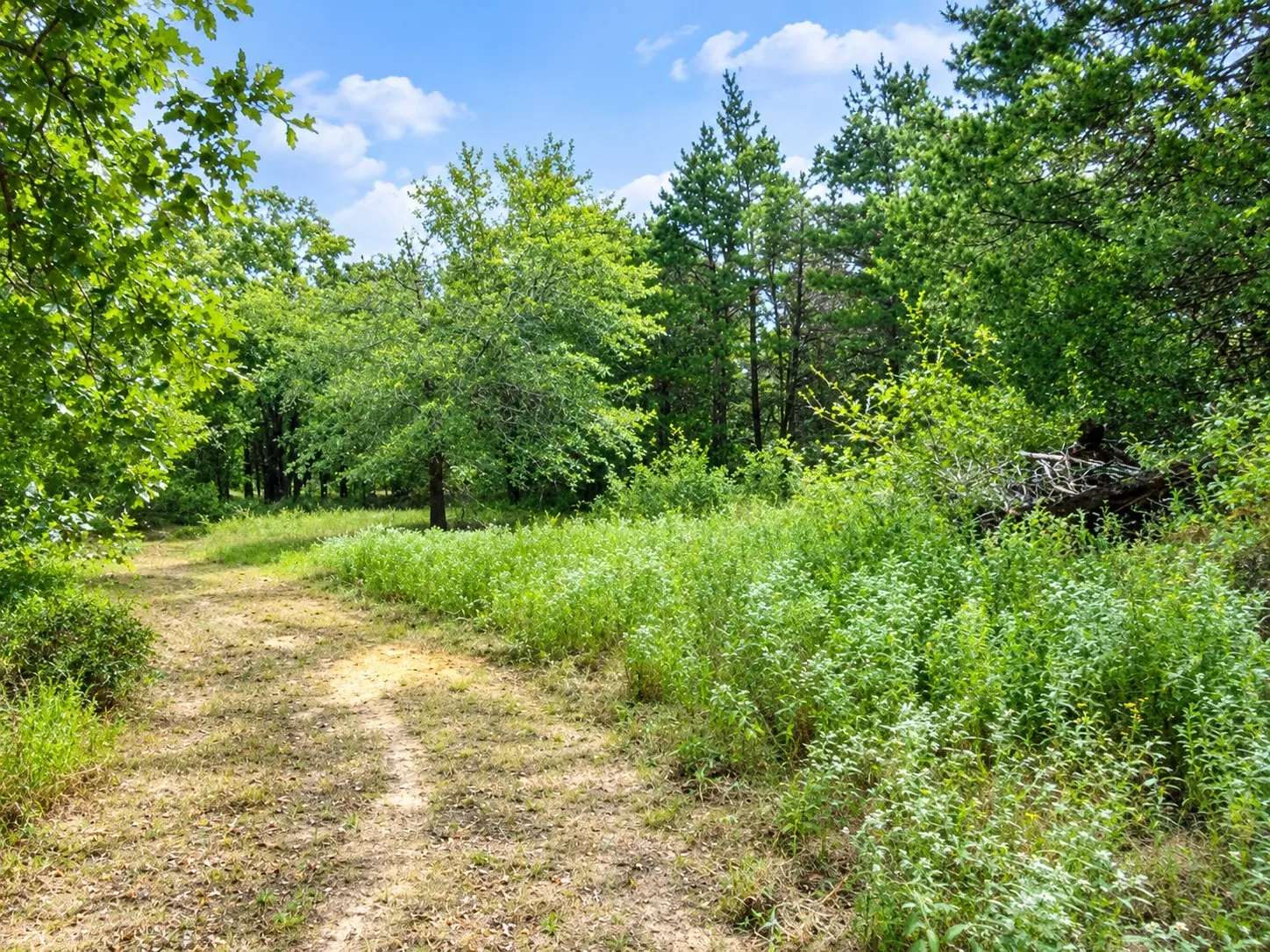 Single Family Residence For Sale in Freestone County , 113 N County Road 681, Teague, Texas 75860, 3 Bedroom, 2 Bathroom, Garage spaces, 1,792 Sqft, built in 2022, mls#21401823, Real Estate Agent in Teague, Homes For Sale in Freestone county, Homes For Sale in Teague, Realtor in Teague Texas, Real Estate Brokerage Independent Realty Texas, Luminita Cordes Realtor
