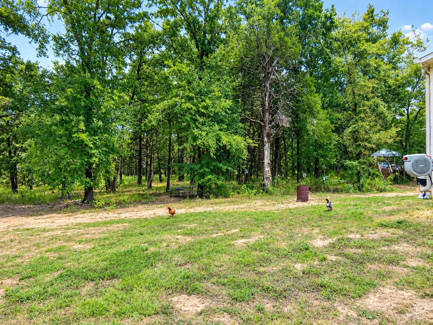 Single Family Residence For Sale in Freestone County , 113 N County Road 681, Teague, Texas 75860, 3 Bedroom, 2 Bathroom, Garage spaces, 1,792 Sqft, built in 2022, mls#21401823, Real Estate Agent in Teague, Homes For Sale in Freestone county, Homes For Sale in Teague, Realtor in Teague Texas, Real Estate Brokerage Independent Realty Texas, Luminita Cordes Realtor