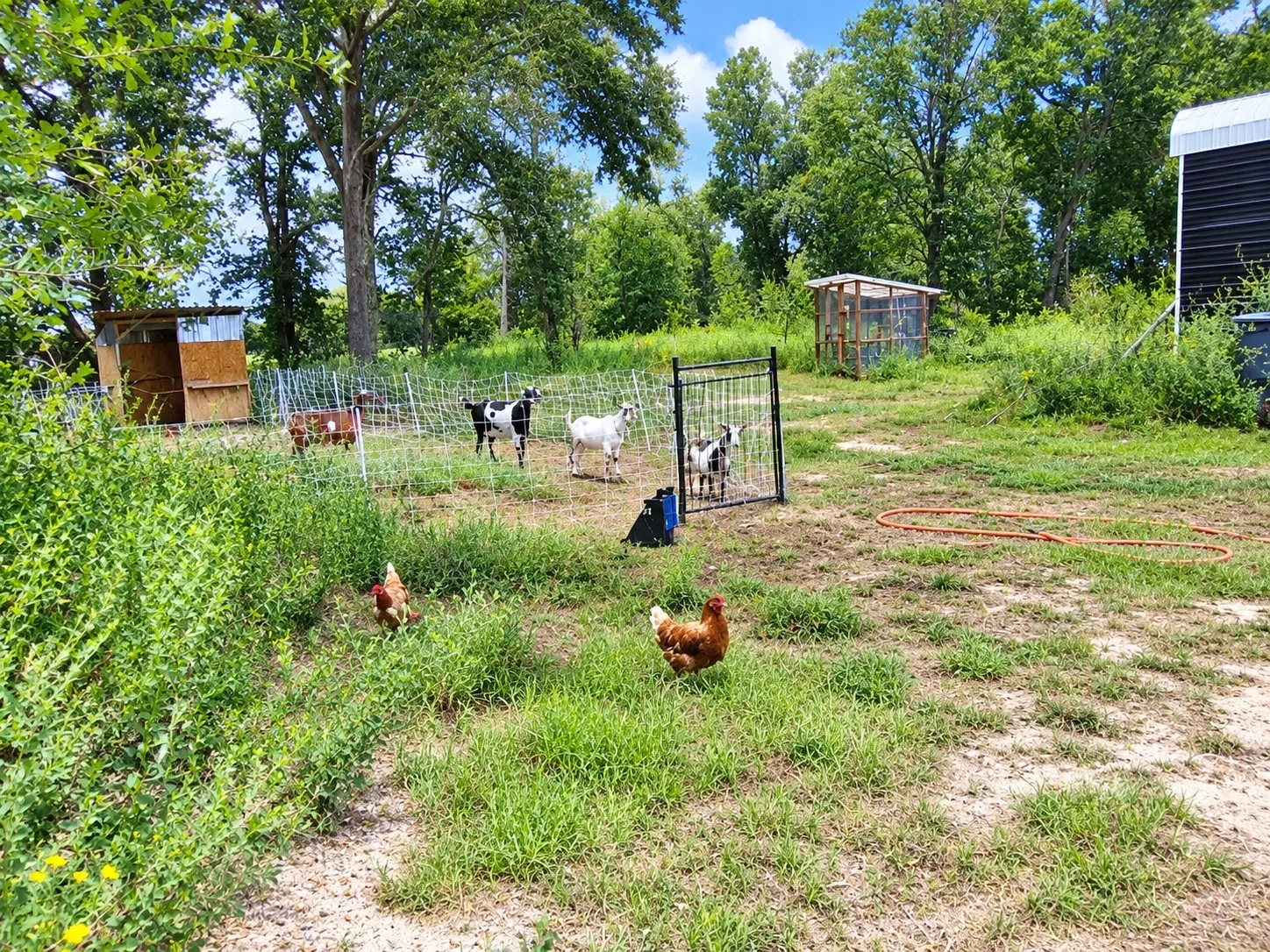 Single Family Residence For Sale in Freestone County , 113 N County Road 681, Teague, Texas 75860, 3 Bedroom, 2 Bathroom, Garage spaces, 1,792 Sqft, built in 2022, mls#21401823, Real Estate Agent in Teague, Homes For Sale in Freestone county, Homes For Sale in Teague, Realtor in Teague Texas, Real Estate Brokerage Independent Realty Texas, Luminita Cordes Realtor