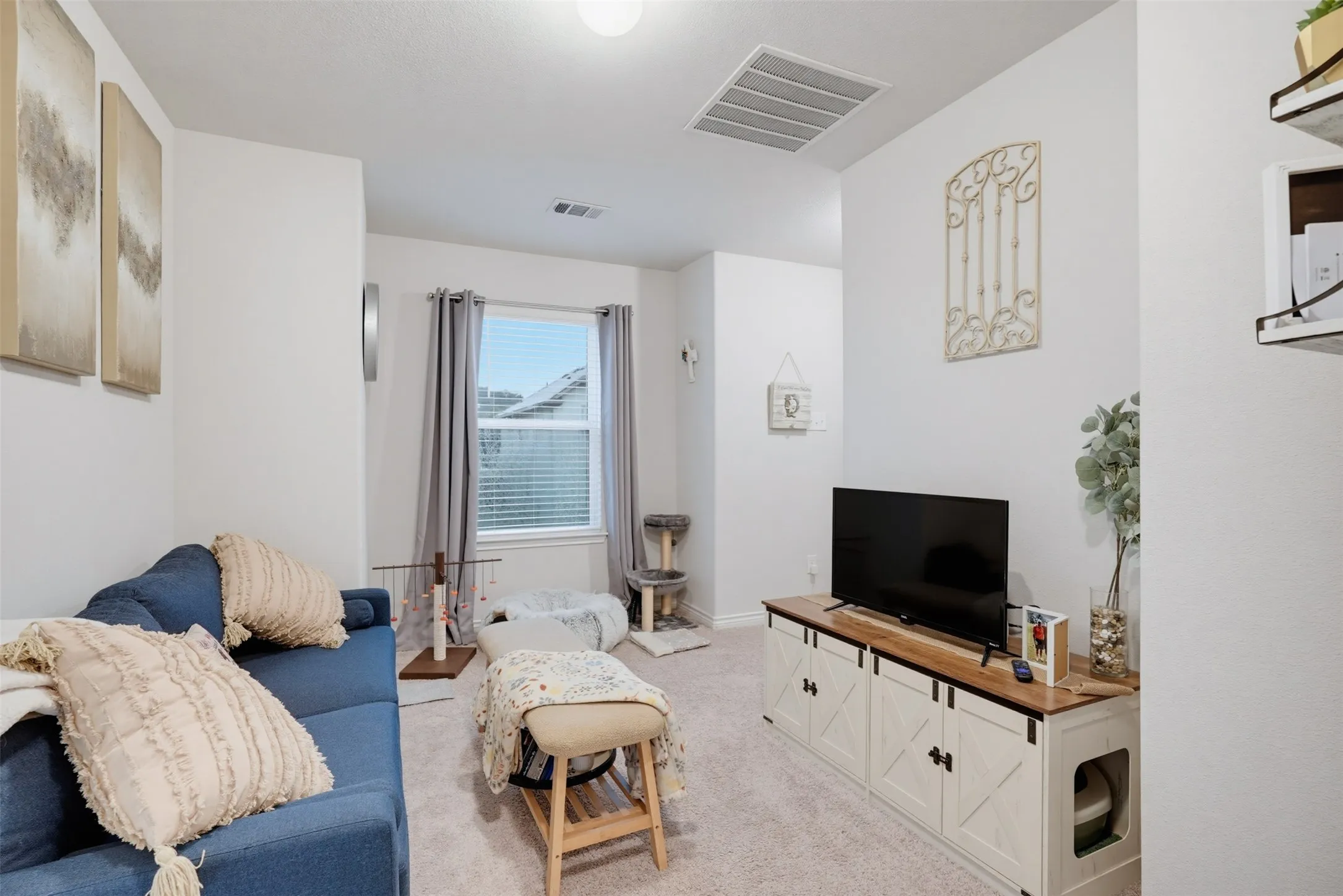 Plush carpet flooring, a window with blinds, and white walls