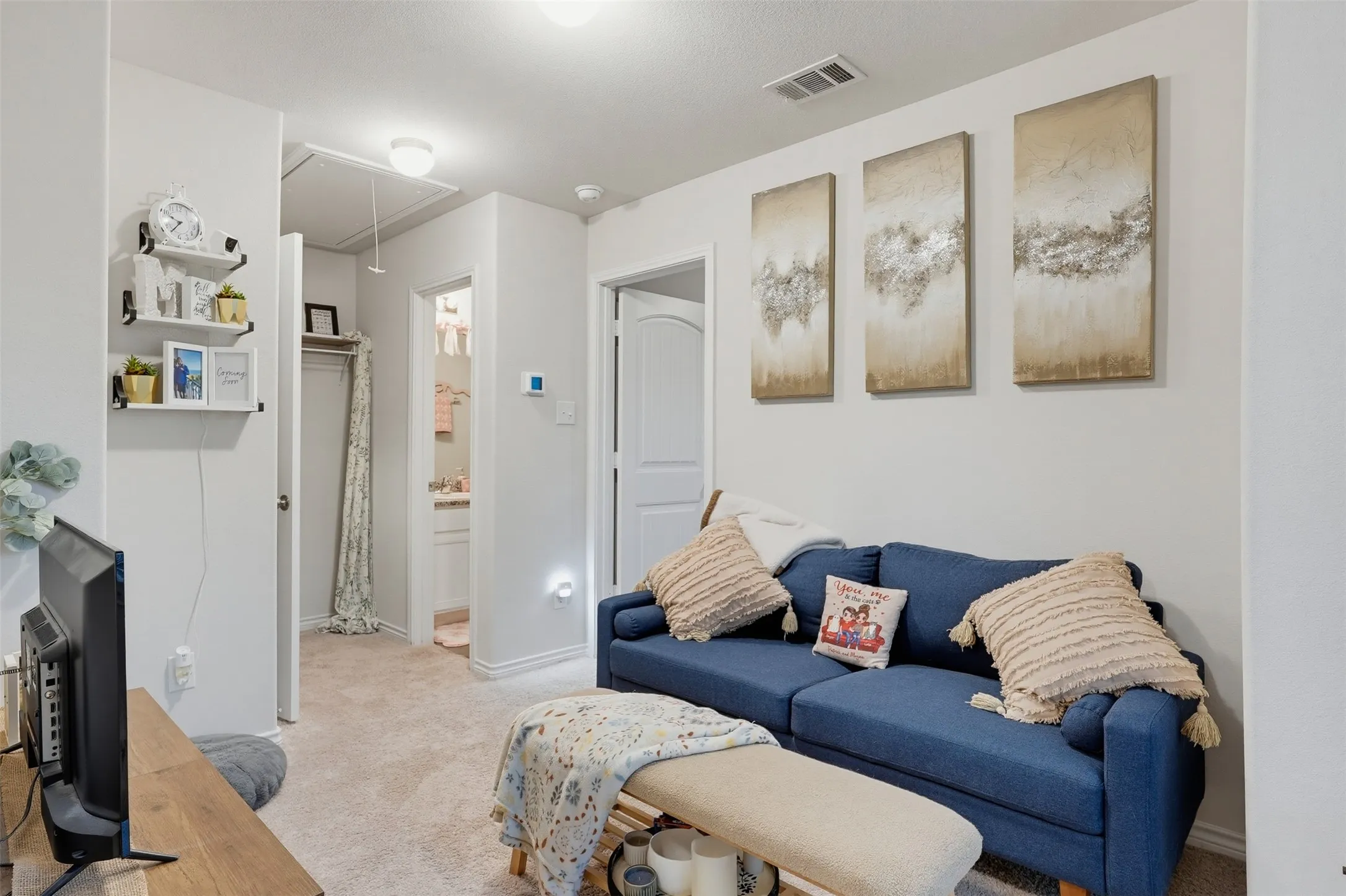 Neutral wall color, carpeted flooring, built-in shelving, white paneled doors, and ceiling lighting