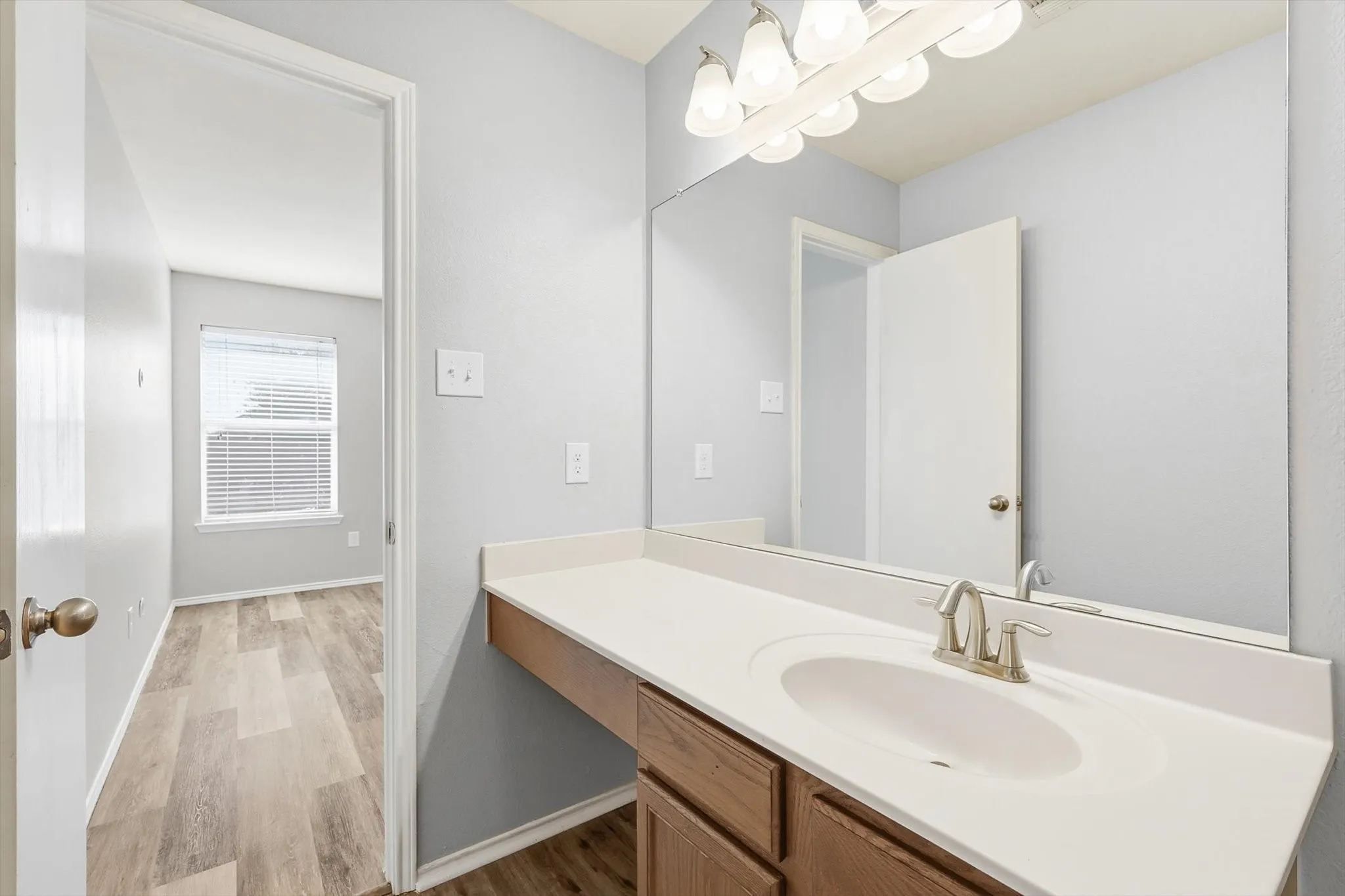 Vanity with a single basin sink, brushed nickel faucet, large wall-mounted mirror, and overhead light fixture