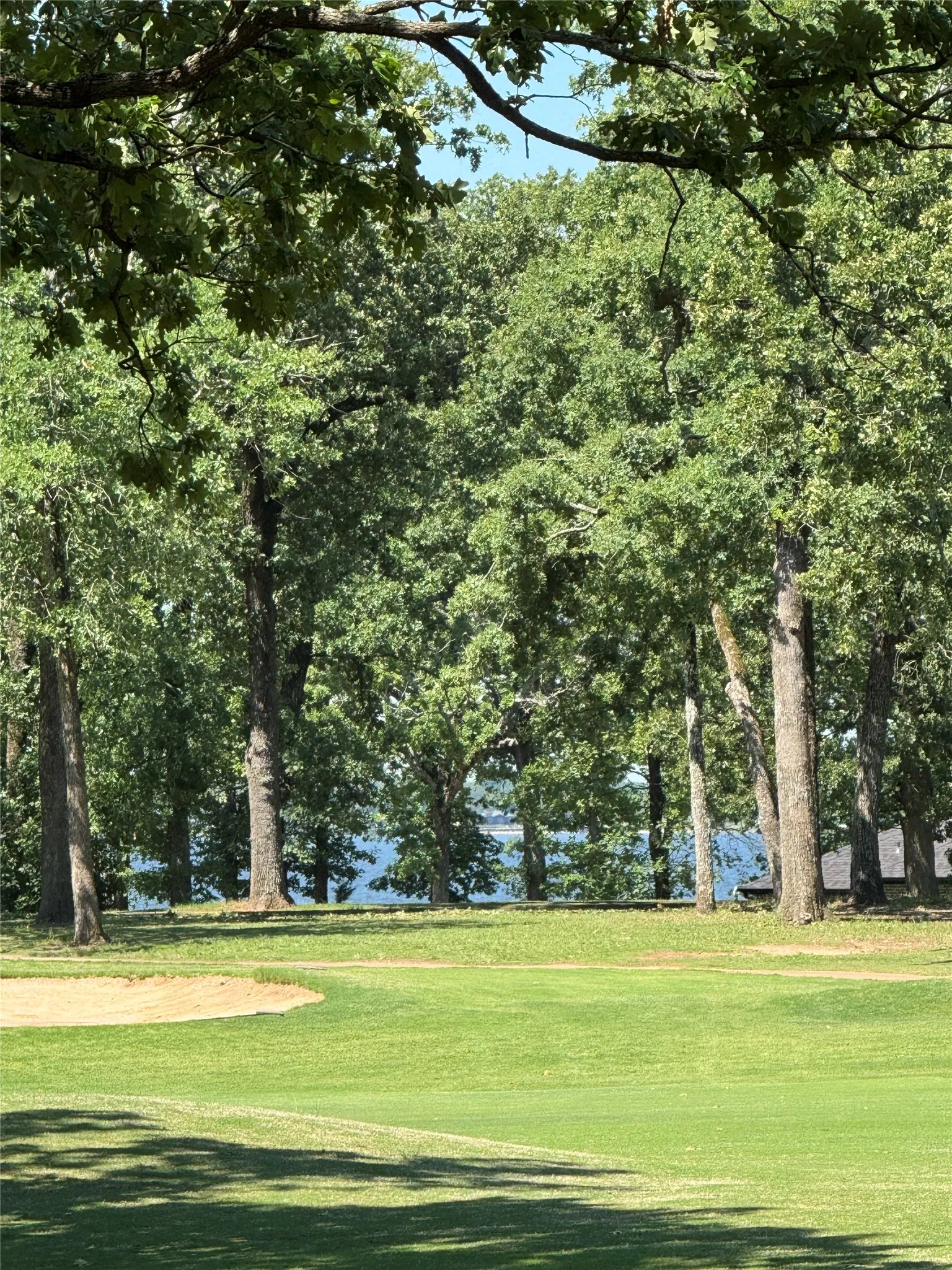 Improved Land For Sale in Henderson County , 129 Pinnacle Club Drive, Mabank, Texas 75156, 0, 0, Garage spaces, 0 Sqft, built in 0, mls#21402519, Real Estate Agent in Mabank, Homes For Sale in Henderson county, Homes For Sale in Mabank, Realtor in Mabank Texas, Real Estate Brokerage Independent Realty Texas, Luminita Cordes Realtor