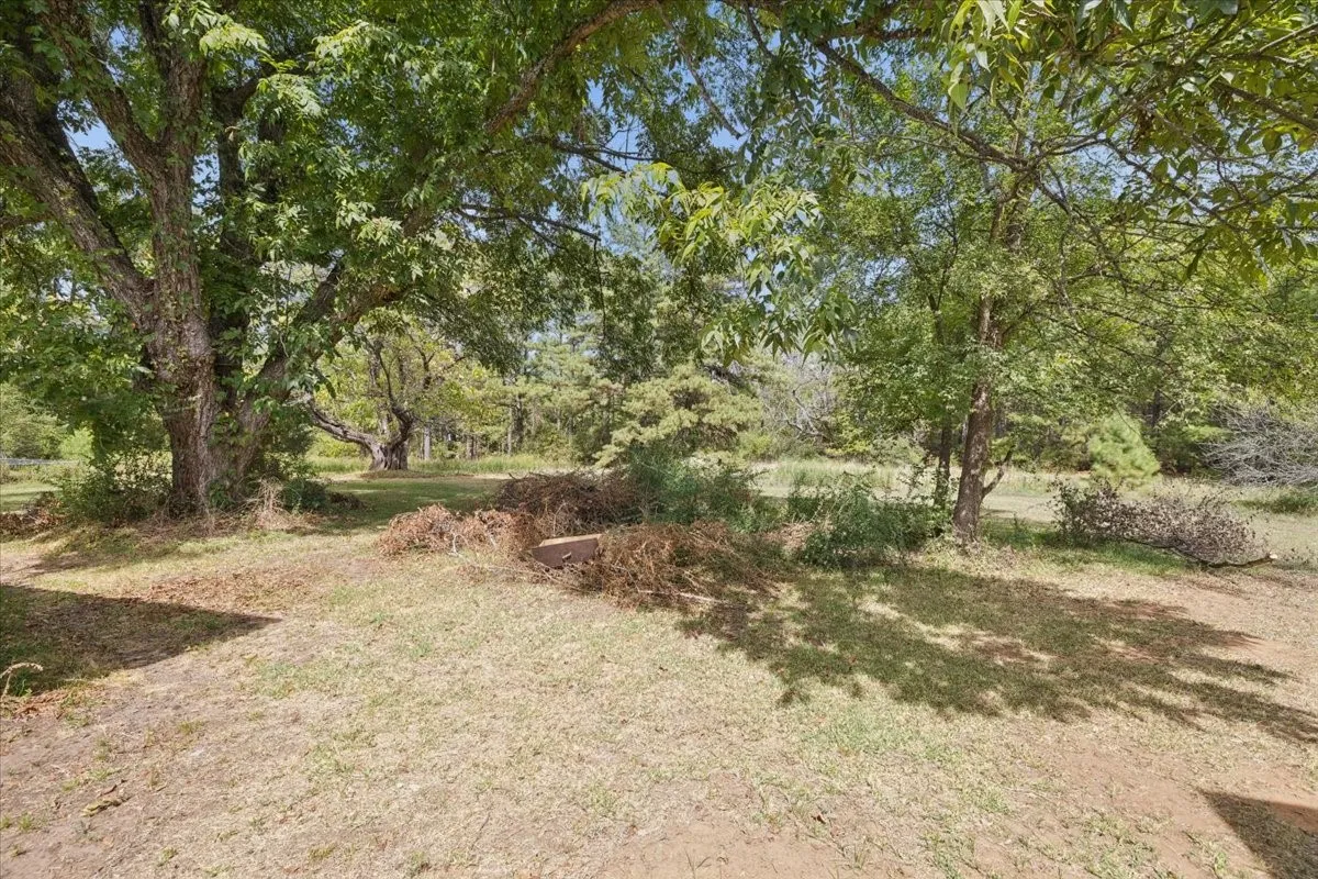 Shaded outdoor space under mature trees, offering a private setting.