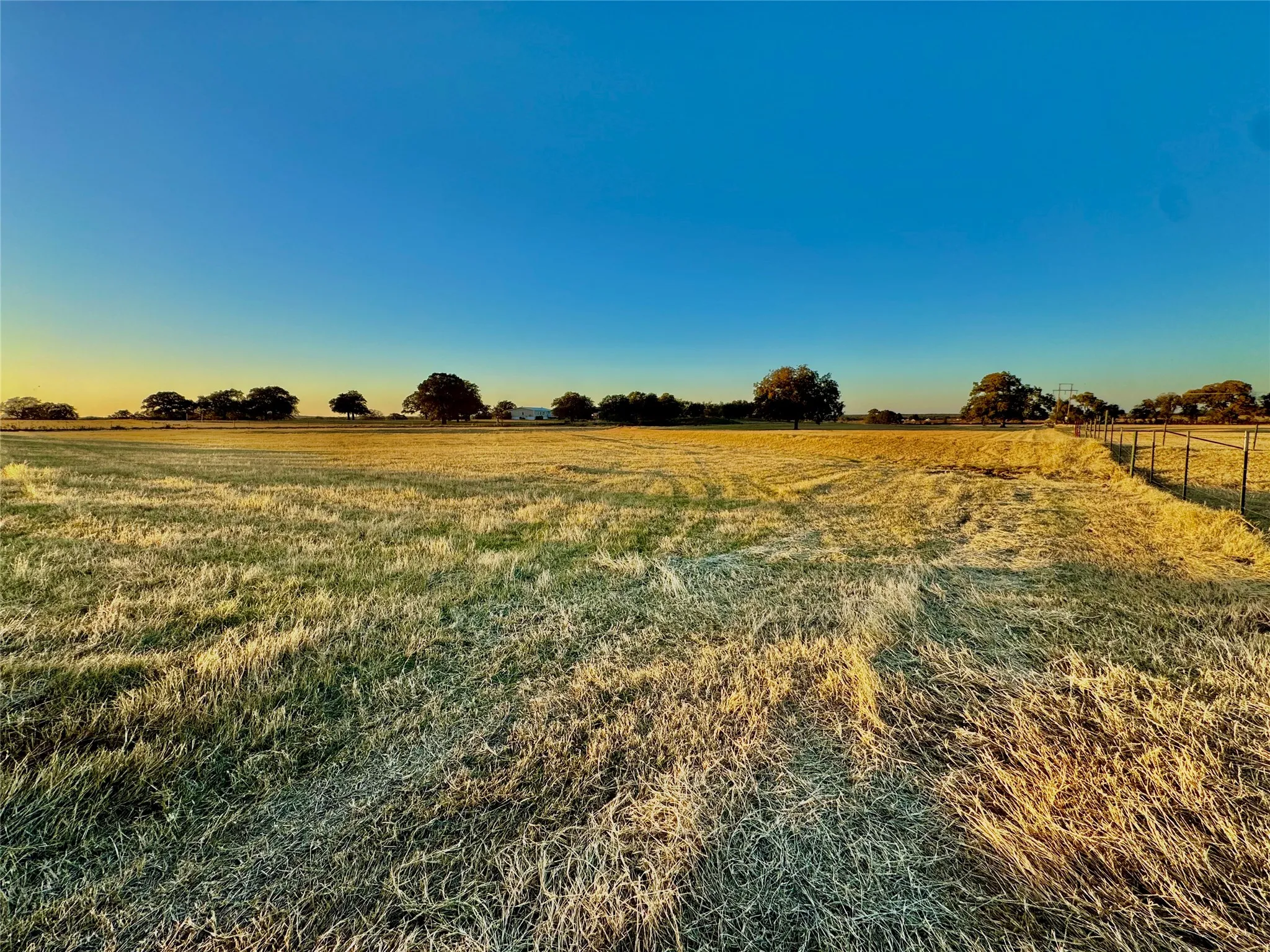 Expansive open field with natural grass, a clear blue sky, and a distant tree line