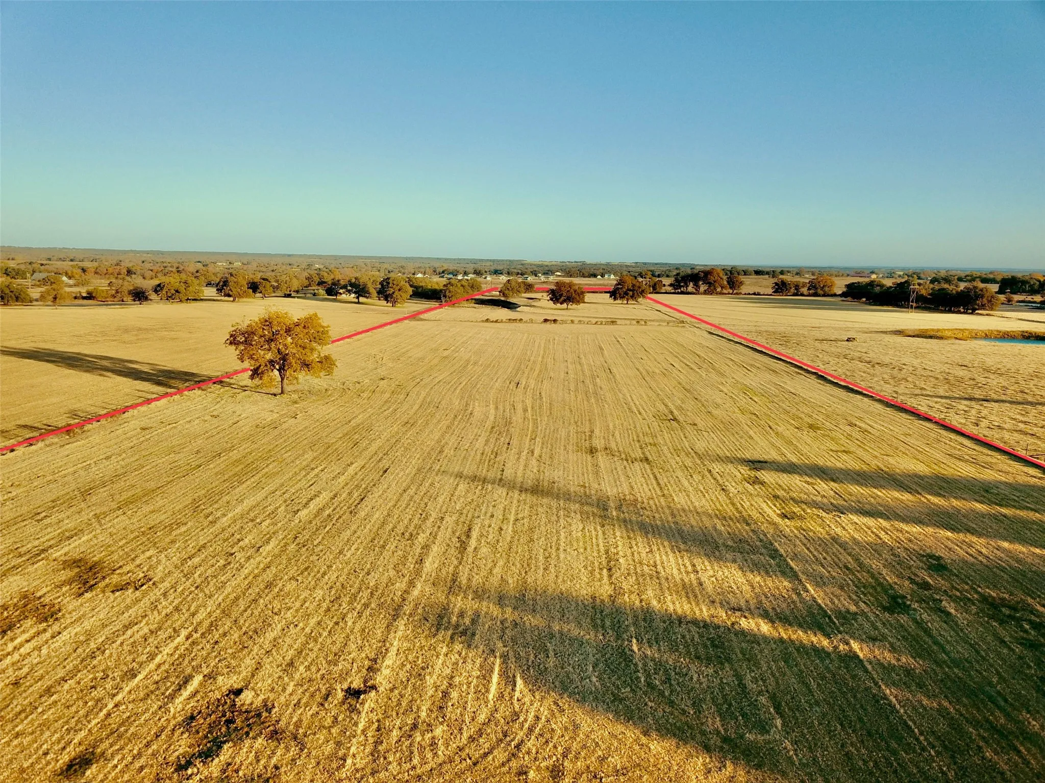Expansive open field with scattered mature trees and distant tree line