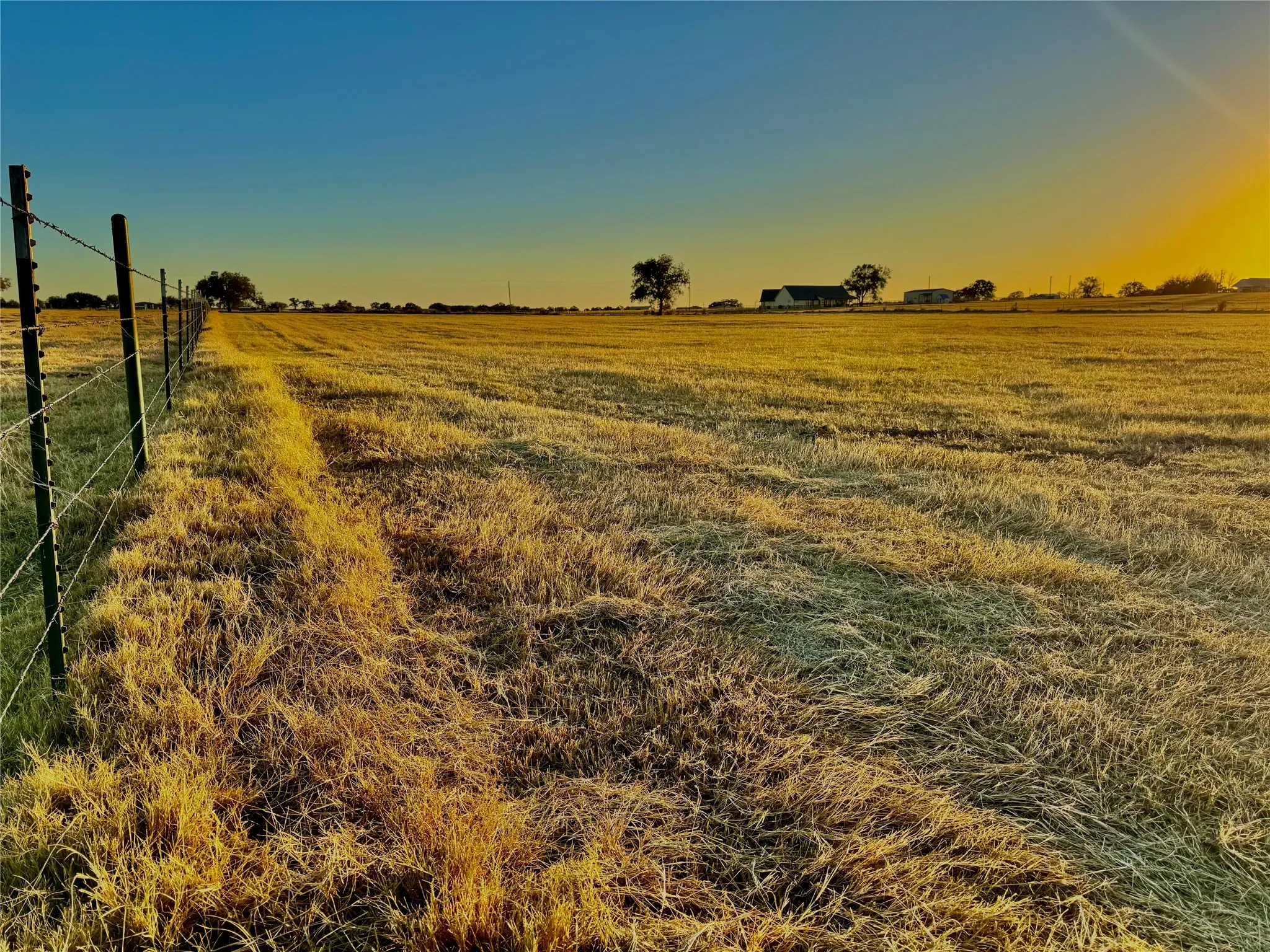 Expansive acreage featuring established fencing and mature trees