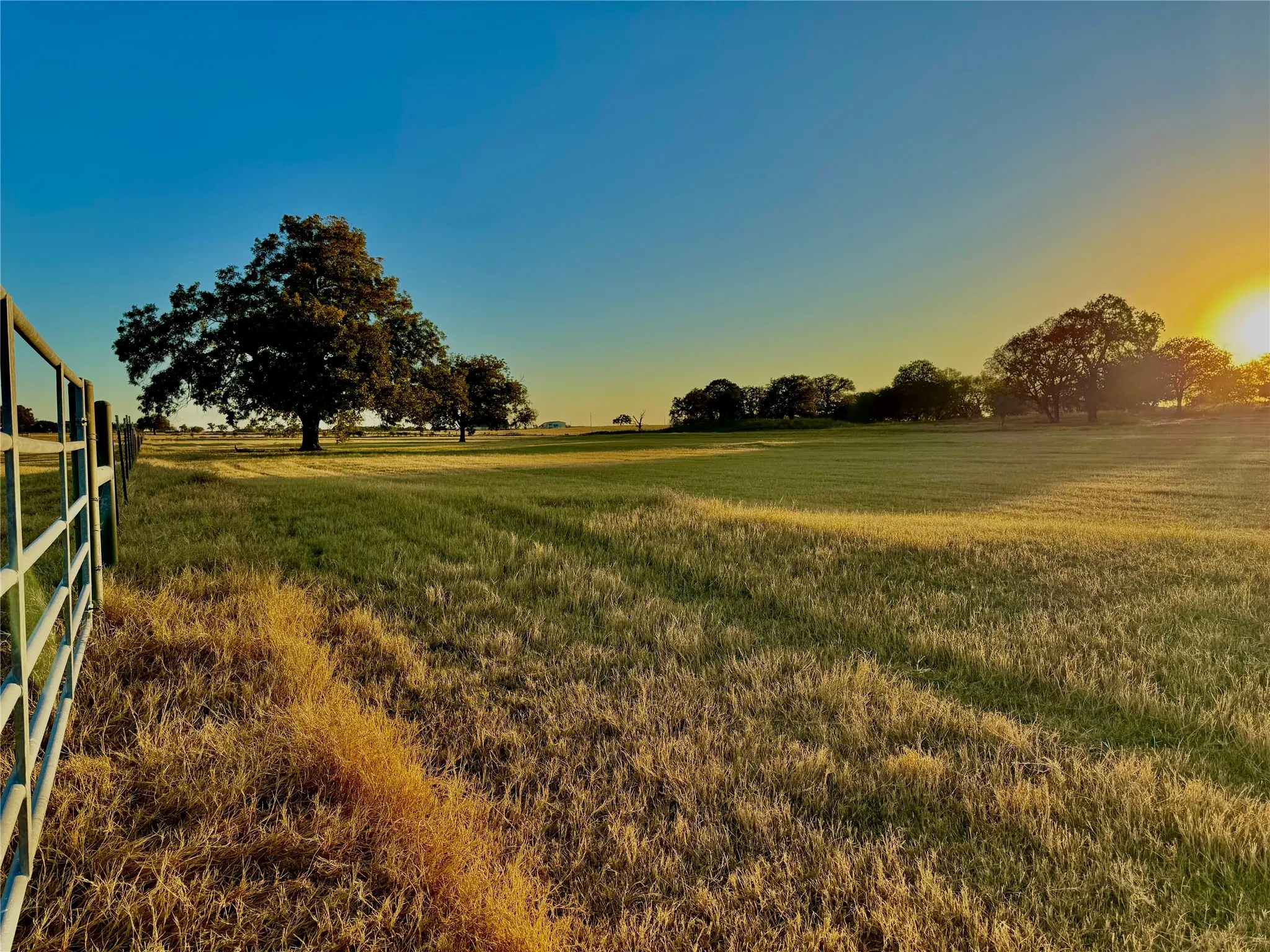 Expansive open field with scattered mature trees and a perimeter fence