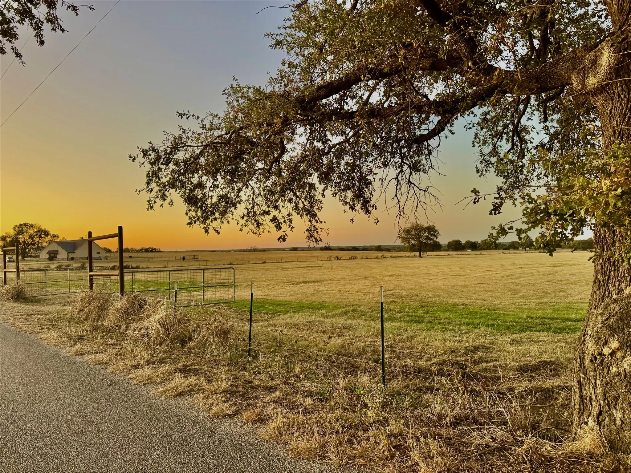 Expansive open field with scattered trees, bordered by a wire fence and a paved road