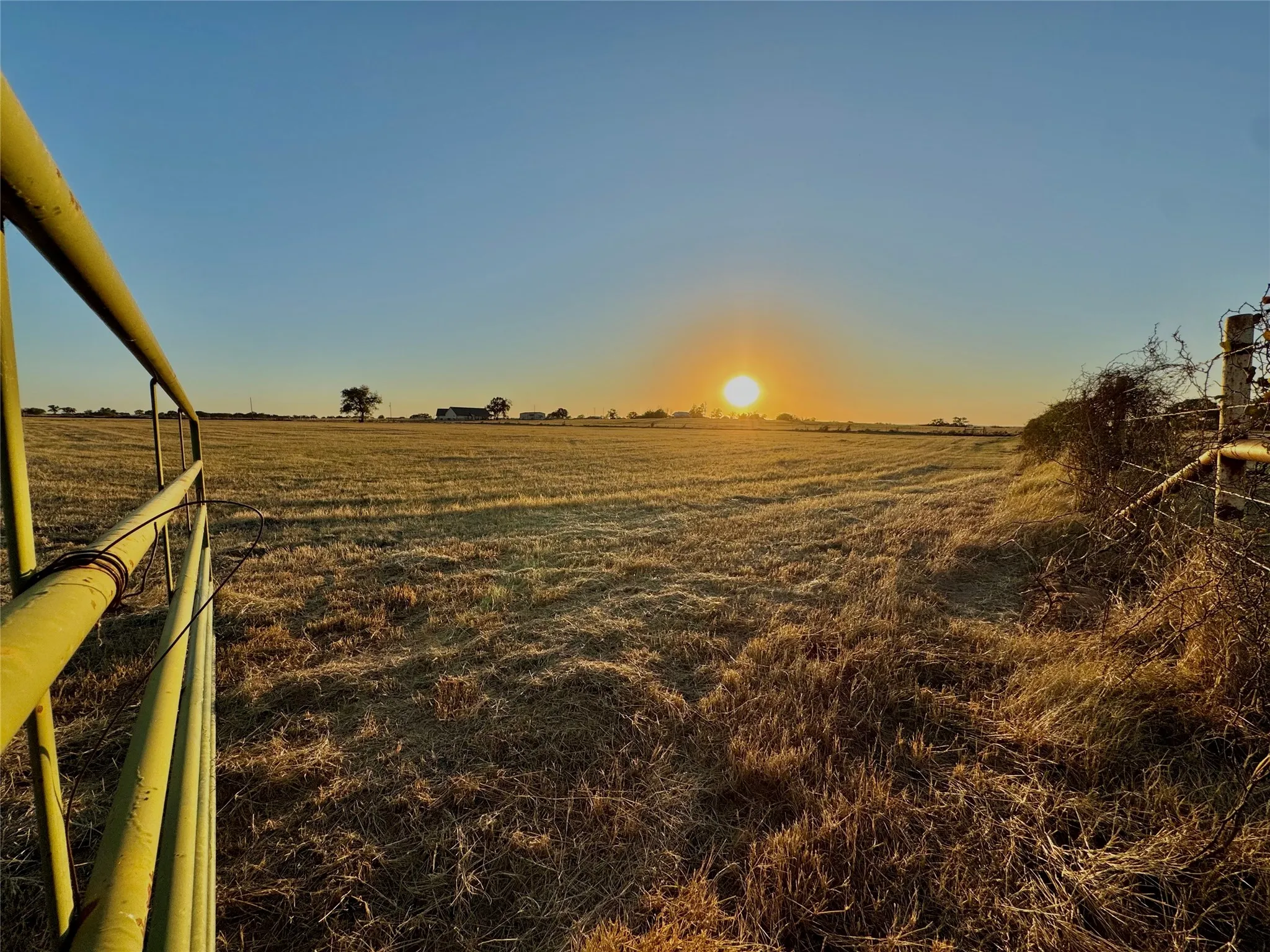 Expansive agricultural land featuring a metal gate and perimeter fencing