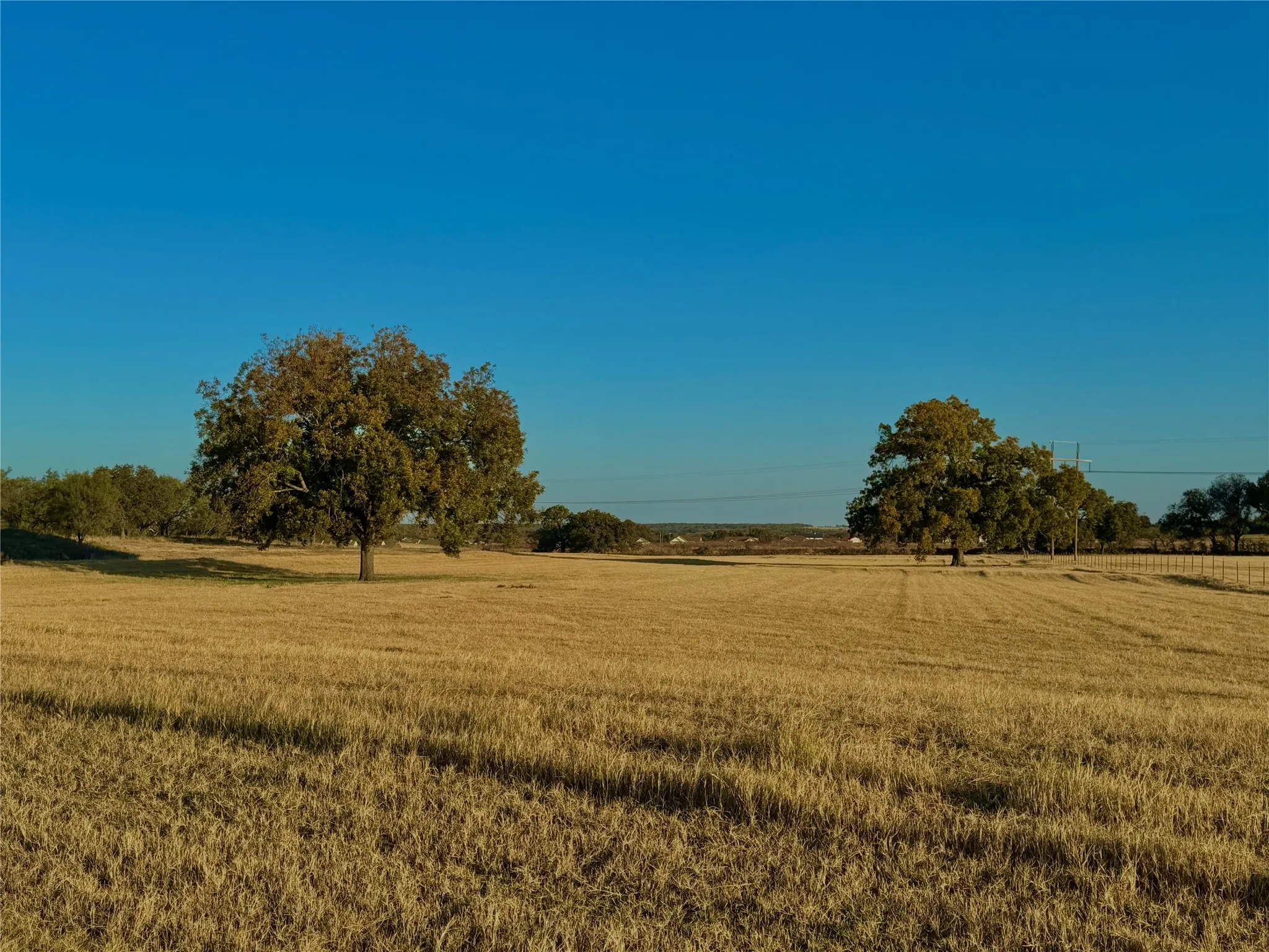 Expansive open field with scattered mature trees and wire fencing