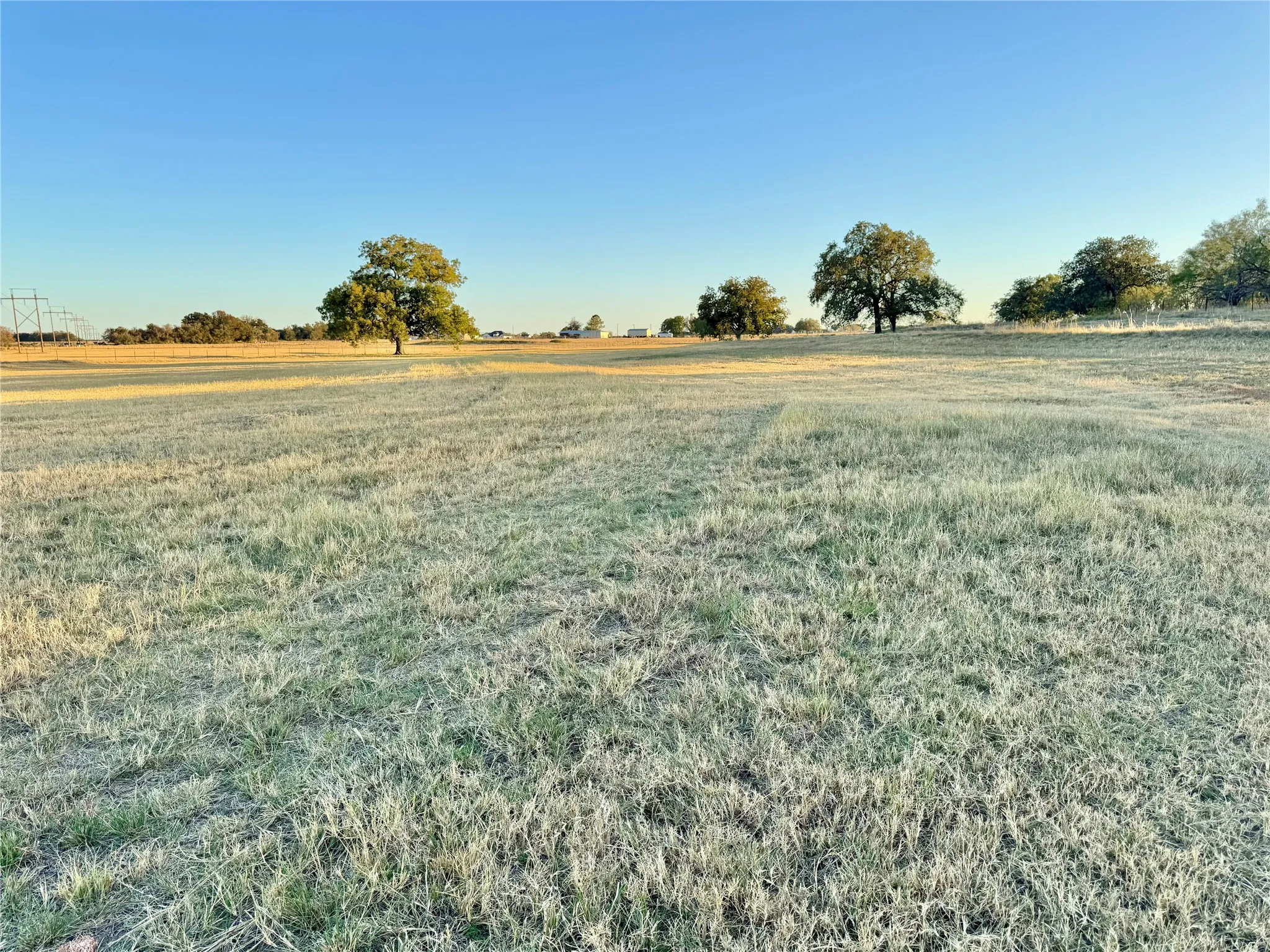 Expansive open field with scattered mature trees and level topography
