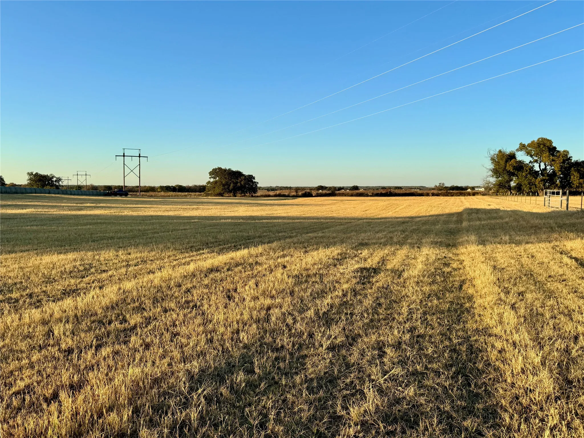 Expansive open field with natural vegetation and distant trees