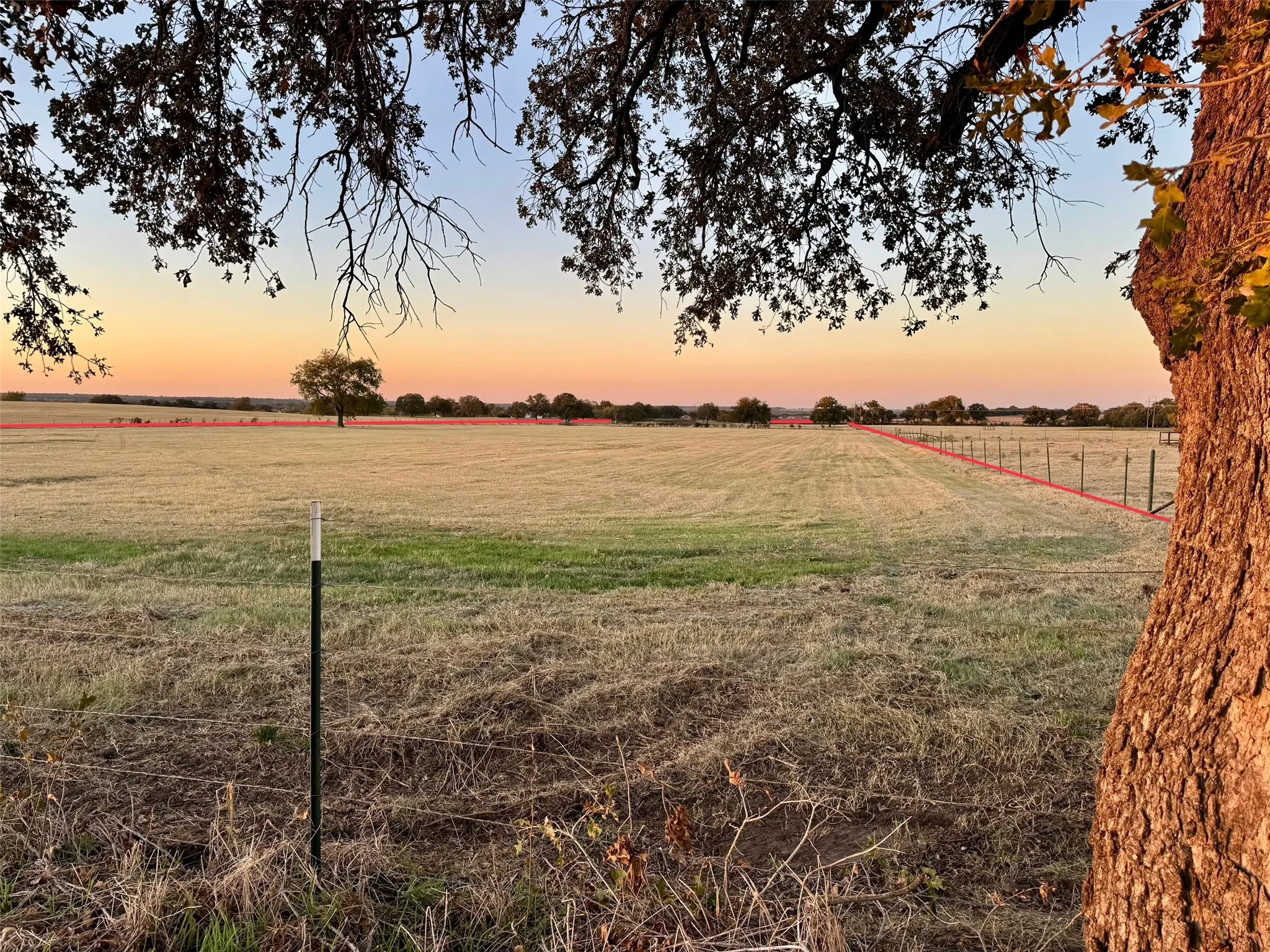 Expansive field with a wire fence line, featuring a distant line of trees